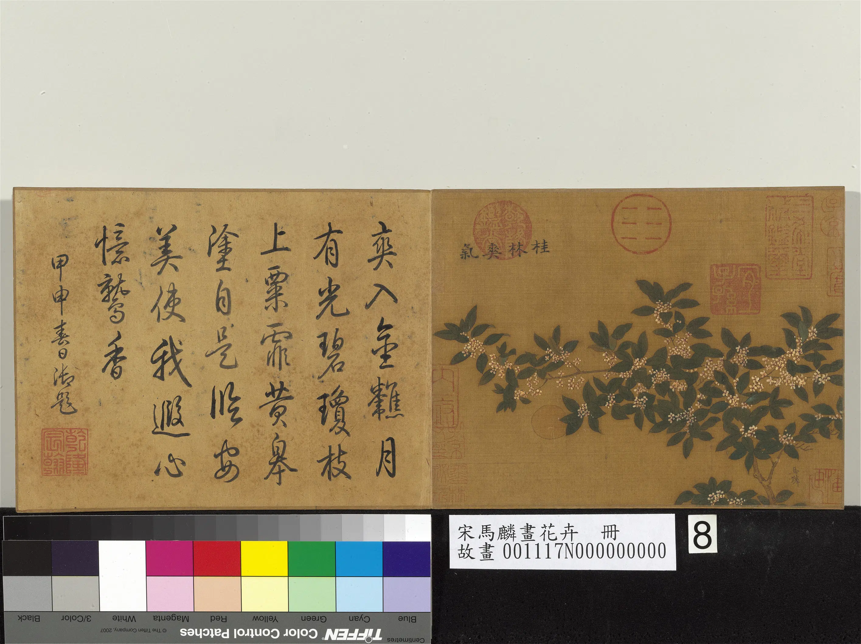 南宋【马麟】《画花卉册-桂林爽气》