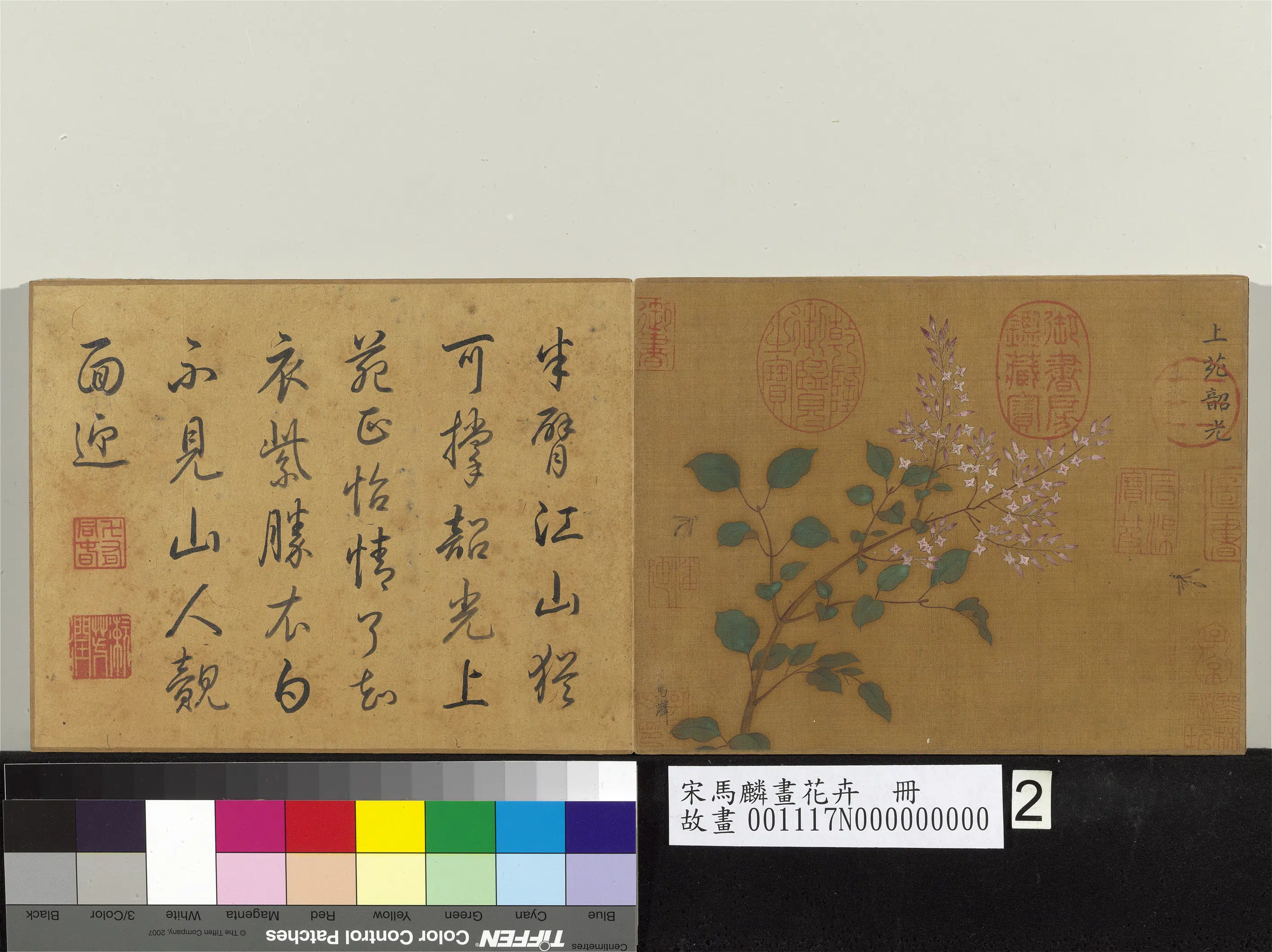 南宋【马麟】《画花卉册》 第3张