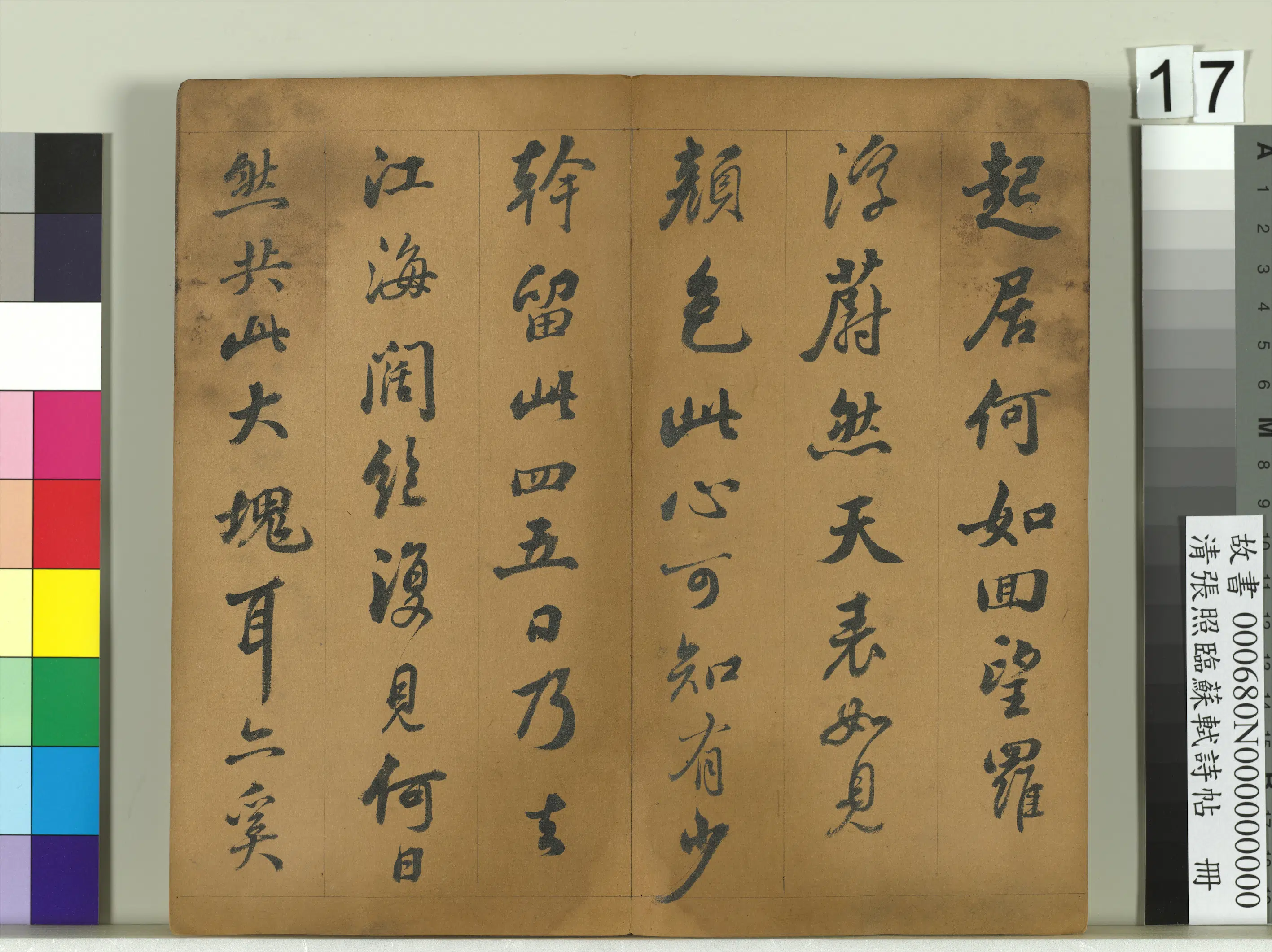 清代【张照】《临苏轼诗帖册》 第9张