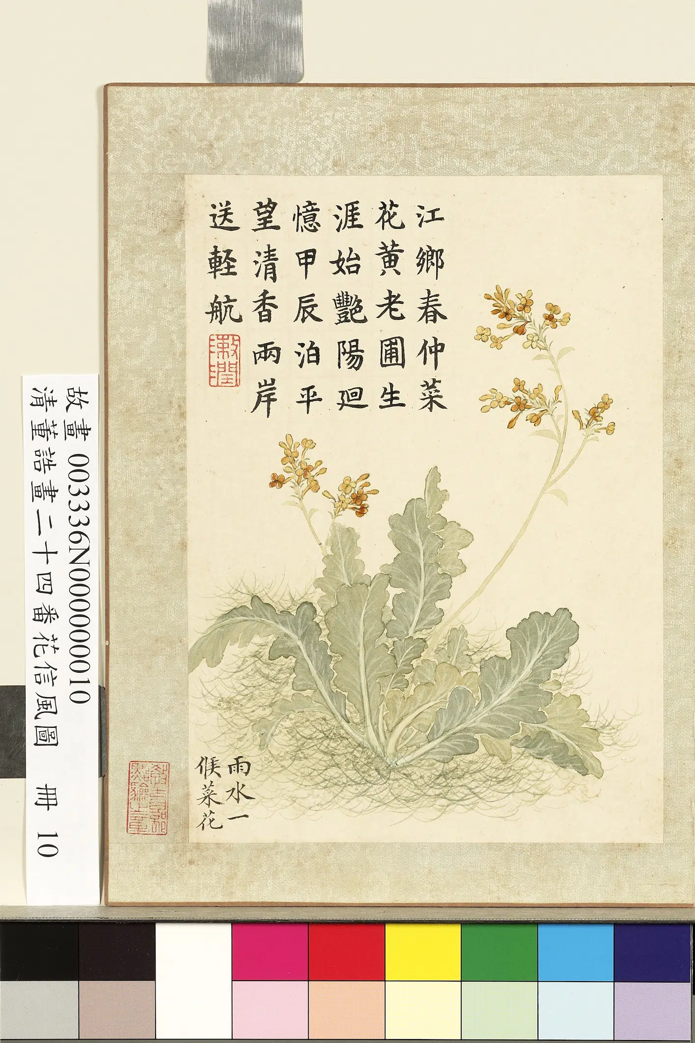 清代【董诰】《画二十四番花信风图册-雨水一候菜花》 第1张 清代【董诰】《画二十四番花信风图册-雨水一候菜花》 第1张