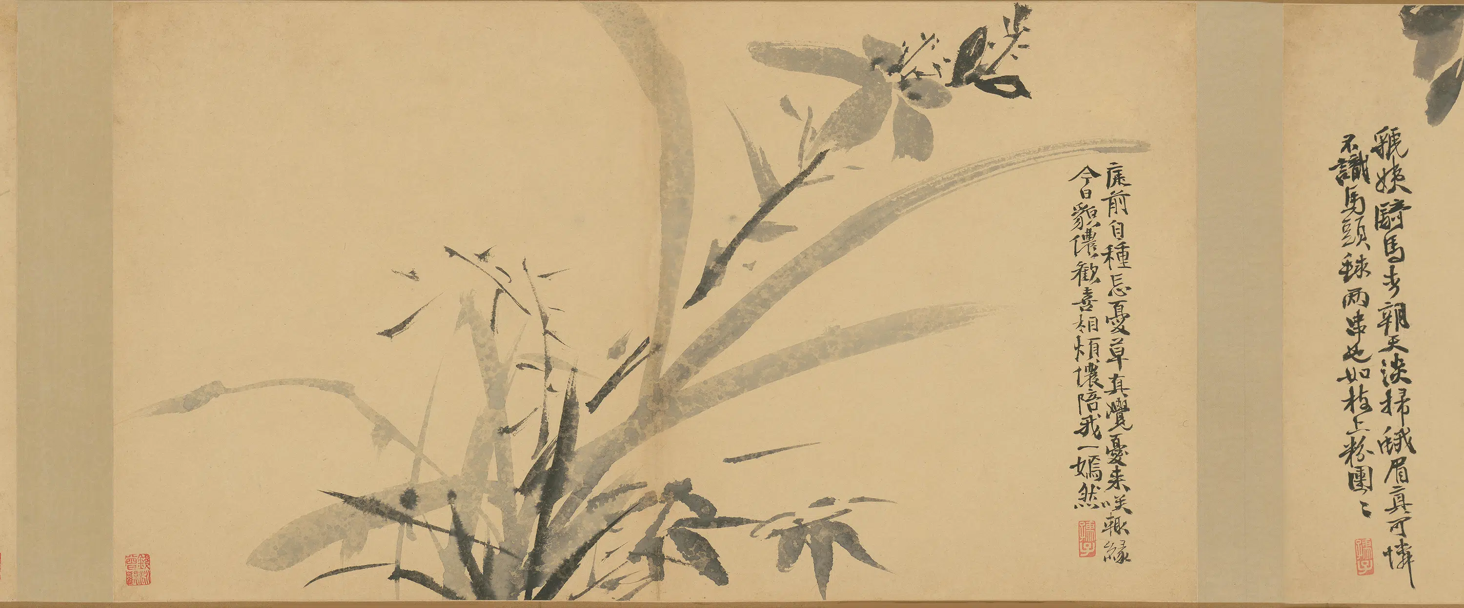 明朝【徐渭】《墨花卷》 第5张