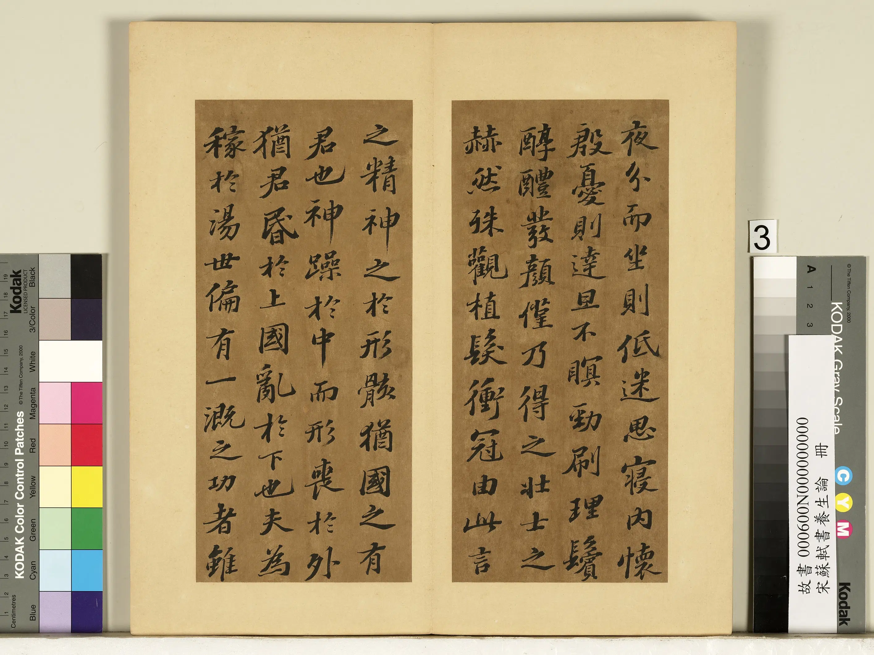北宋【苏轼】《书养生论真迹册》 第10张 北宋【苏轼】《书养生论真迹册》 第10张