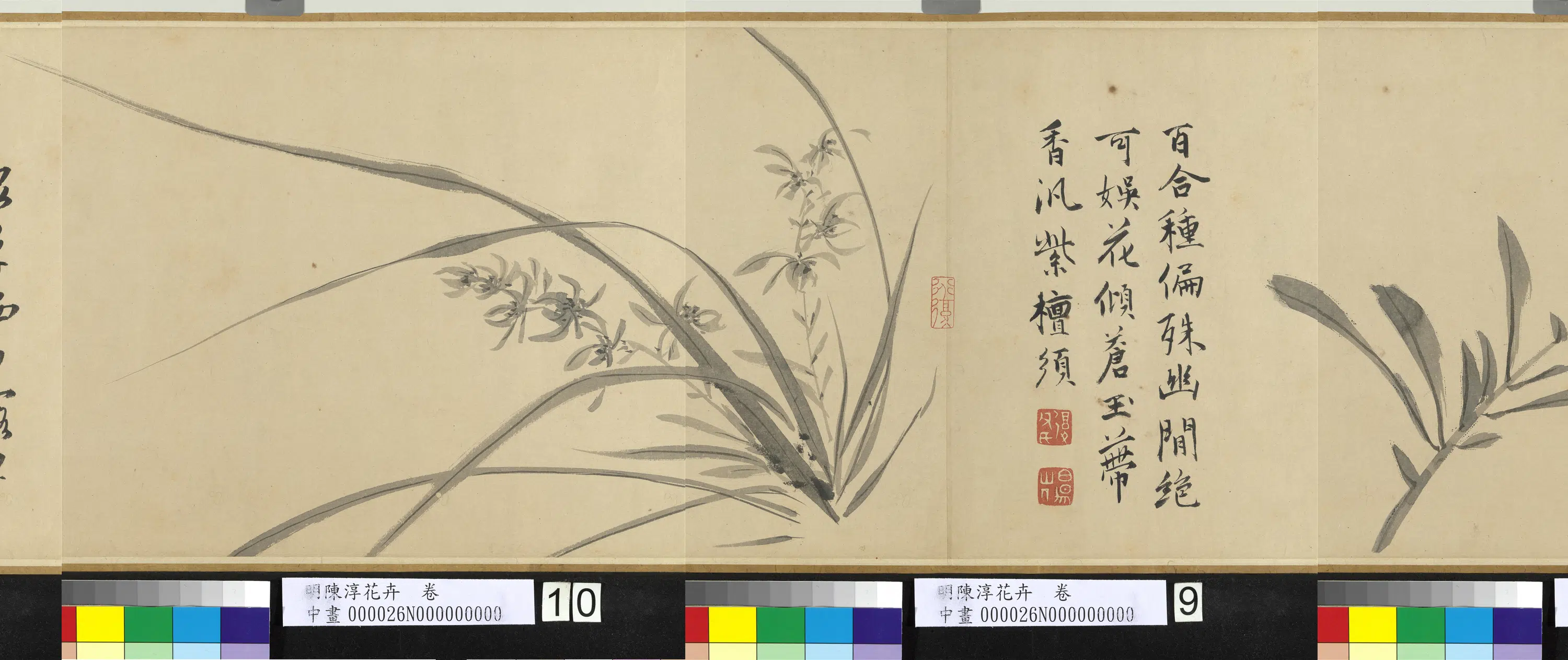 明朝【陈淳(道复)】《花卉图卷-1》 第5张 明朝【陈淳(道复)】《花卉图卷-1》 第5张