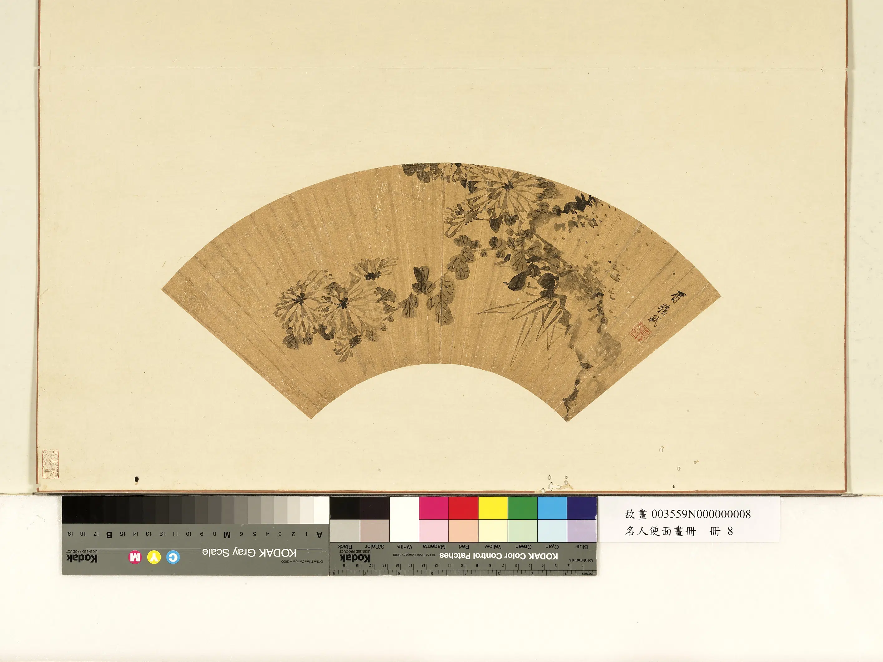 清代【沈轼】《名人便面画册-墨写菊竹》