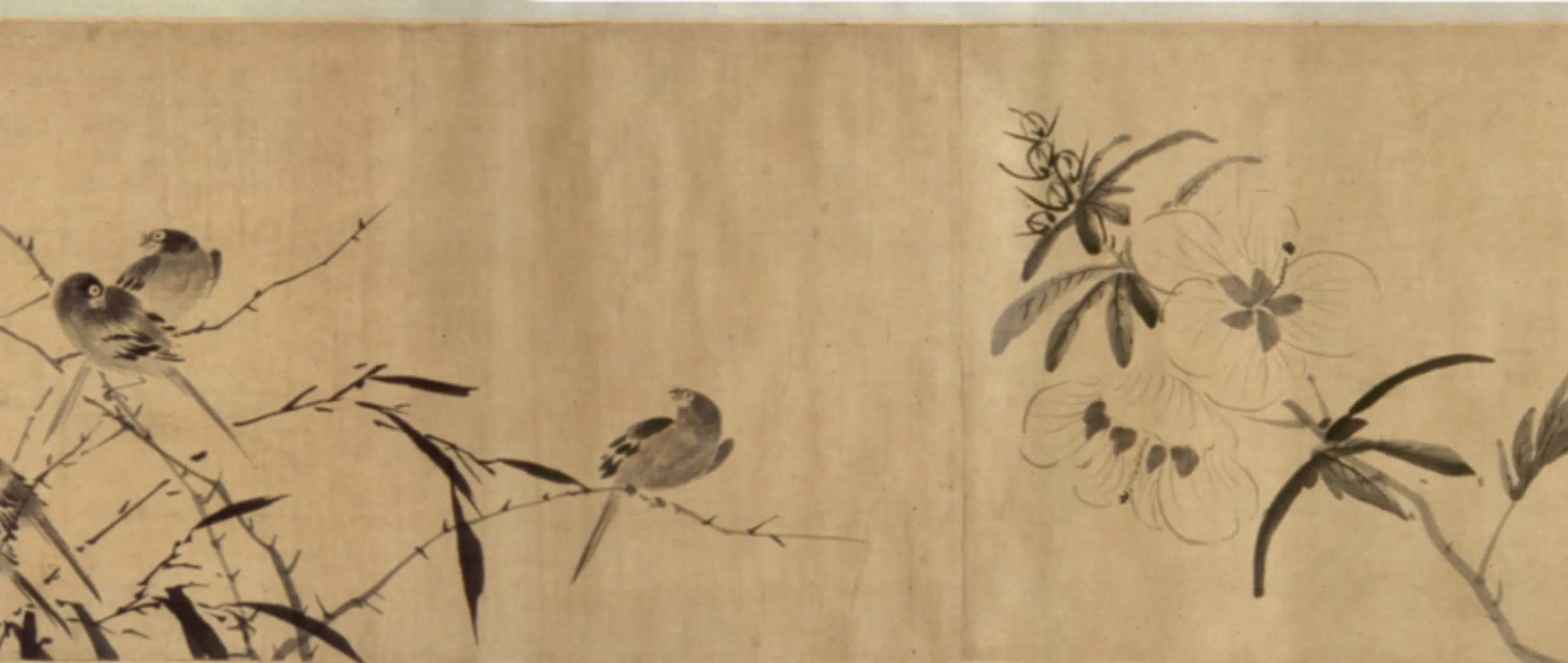明朝【李因】《花鸟图卷》 第8张