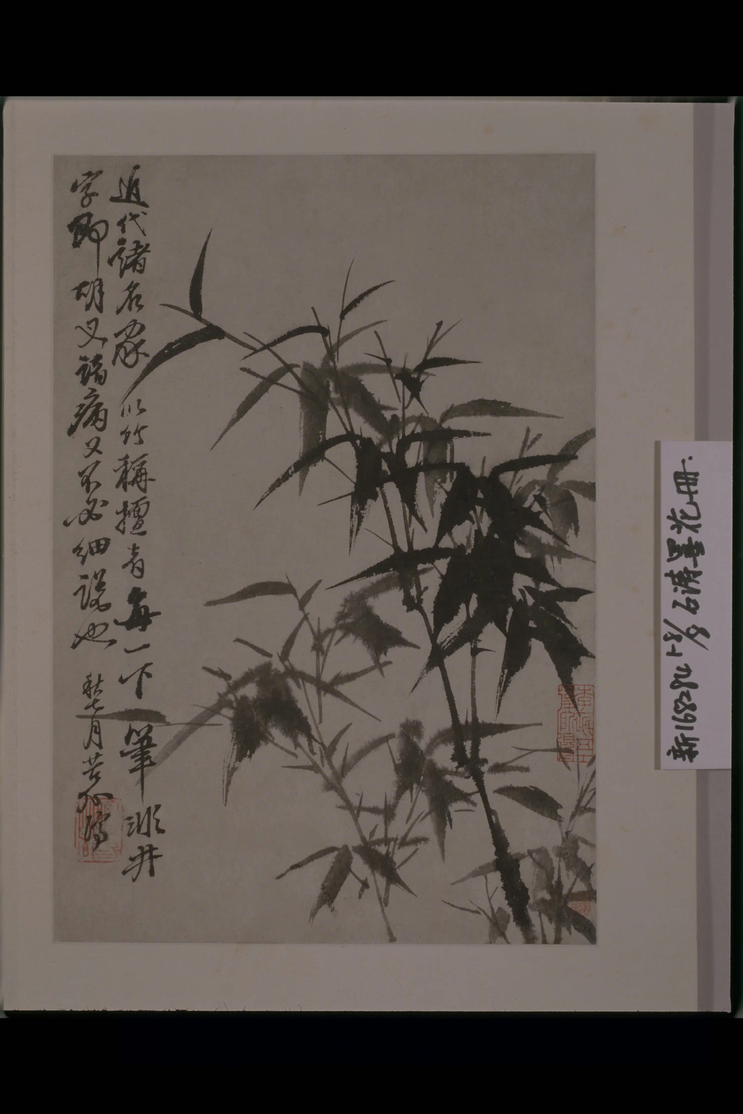清代【原济】《花卉图册》 第5张 清代【原济】《花卉图册》 第5张