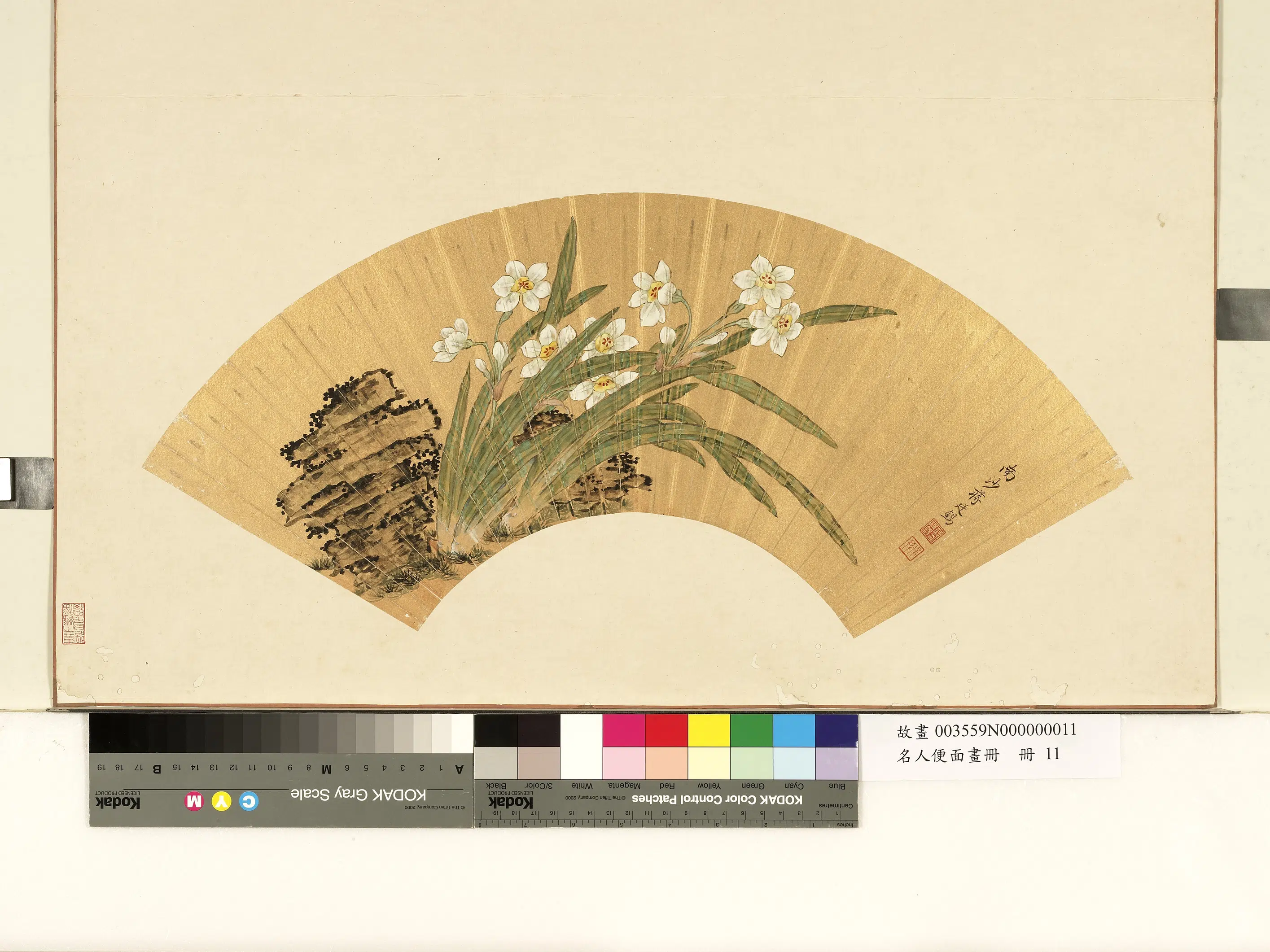 清代【蒋廷锡】《水仙寿石图-名人便面画册》