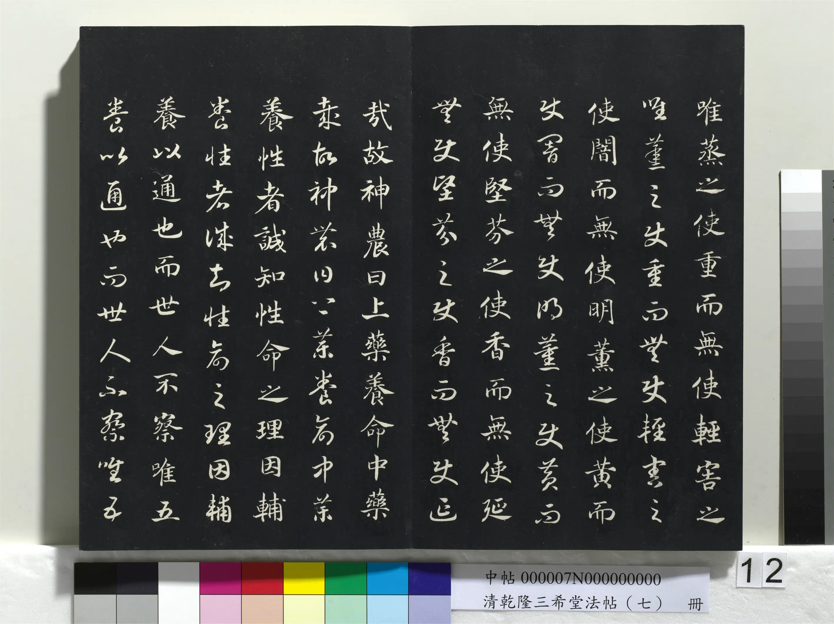 南宋【赵构-宋高宗】《乾隆三希堂法帖（七）册-宋高宗真草书嵇康养生论》 第2张