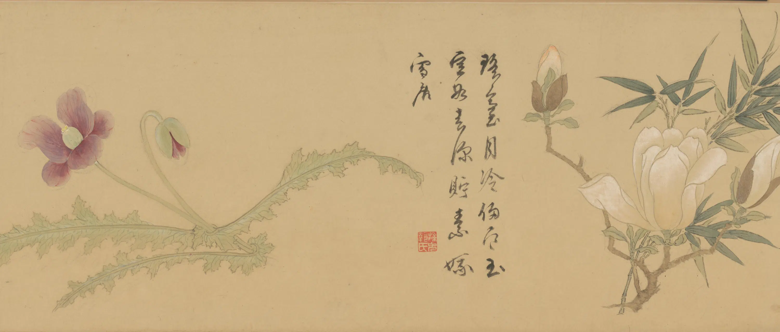 明朝【孙克弘】《百花图卷》 第14张