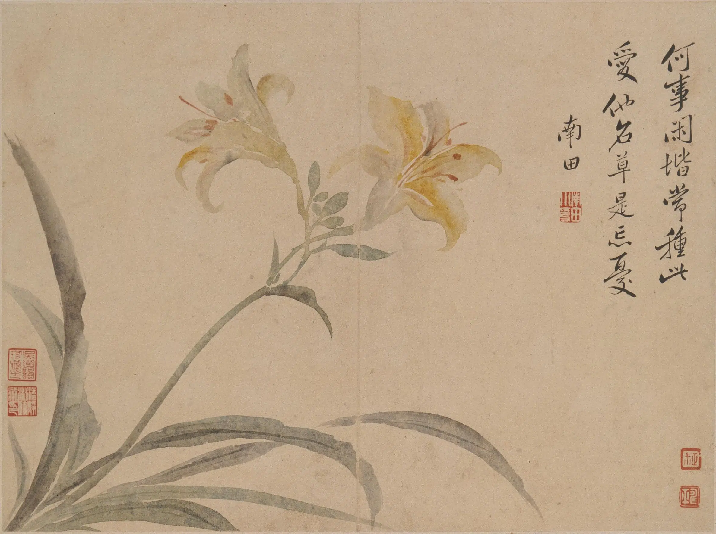 清代【恽寿平】《花卉册》 第3张 清代【恽寿平】《花卉册》 第3张