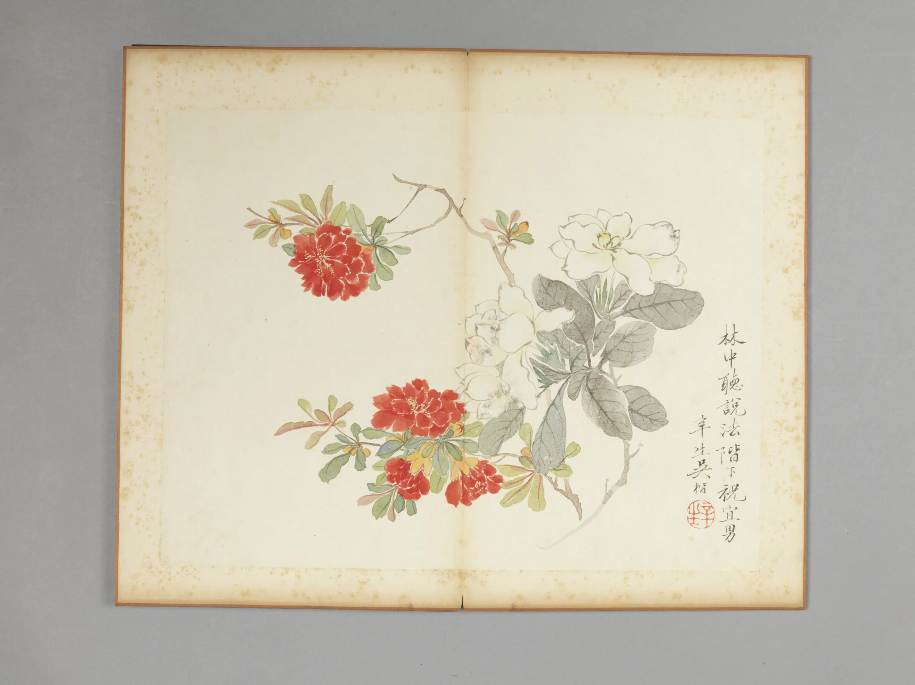 清代【吴楷】《花卉册》 第2张