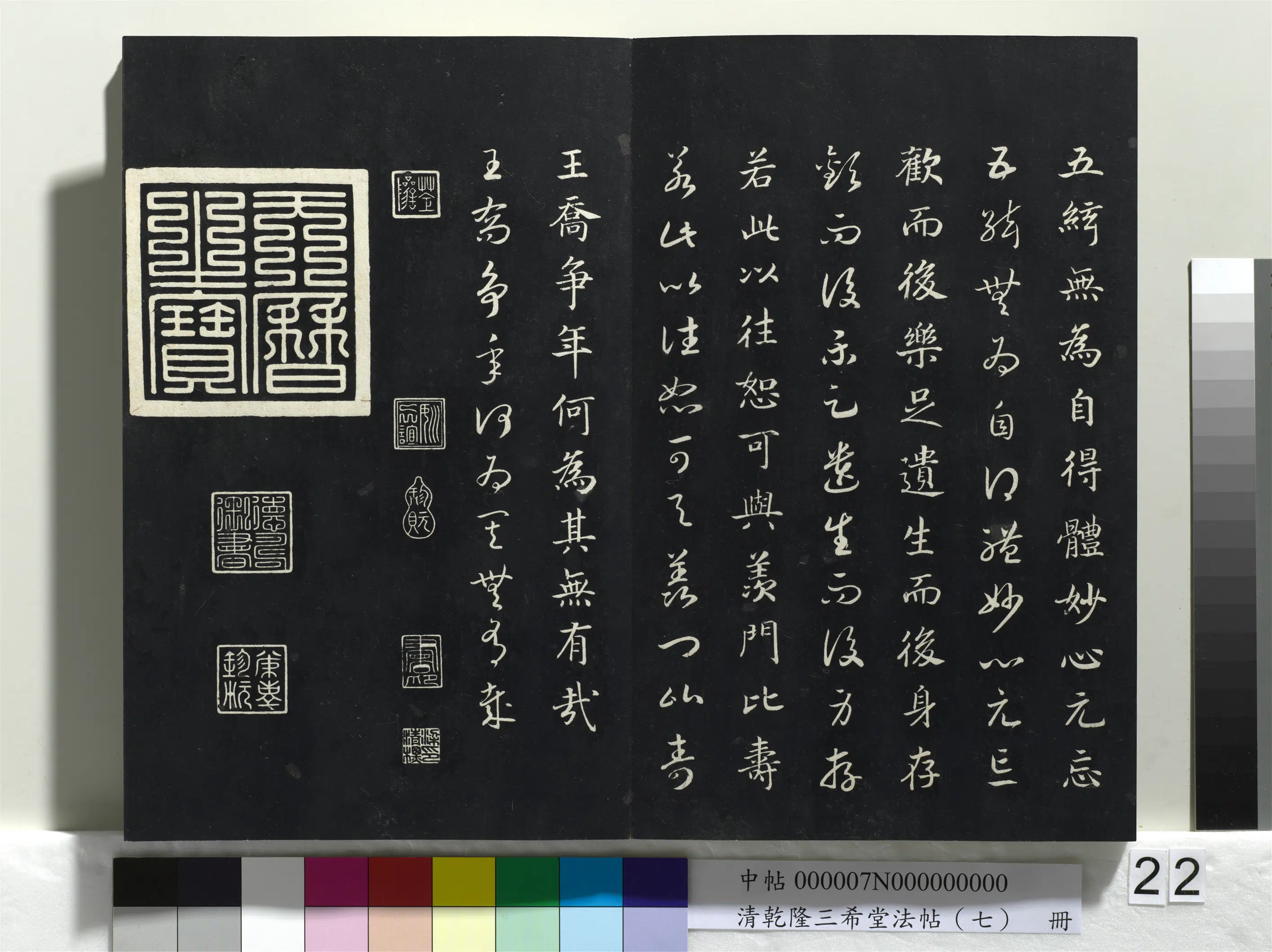 南宋【赵构-宋高宗】《乾隆三希堂法帖（七）册-宋高宗真草书嵇康养生论》 第13张