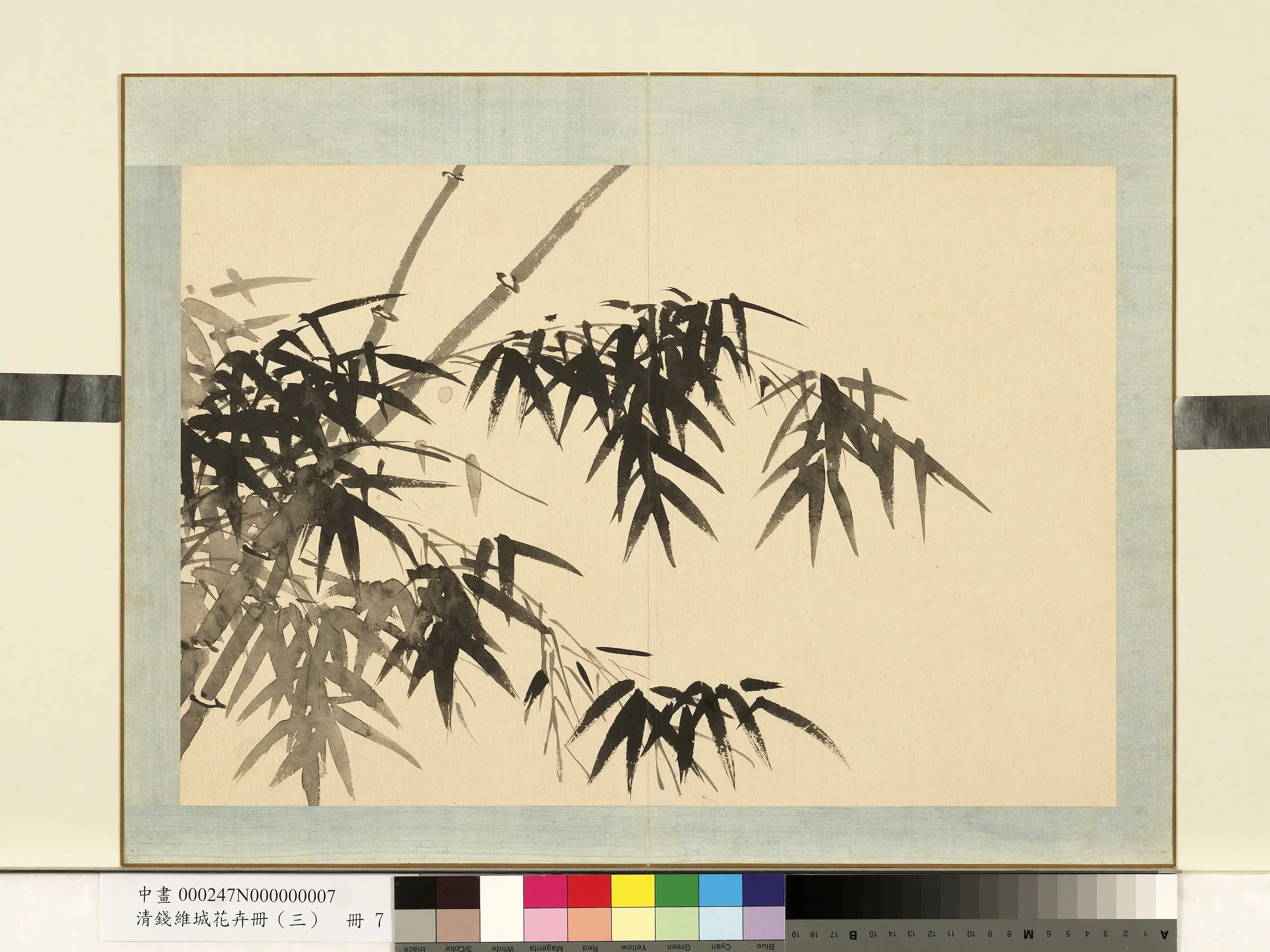 清代【钱维城】《花卉册(三)册》 第3张 清代【钱维城】《花卉册(三)册》 第3张