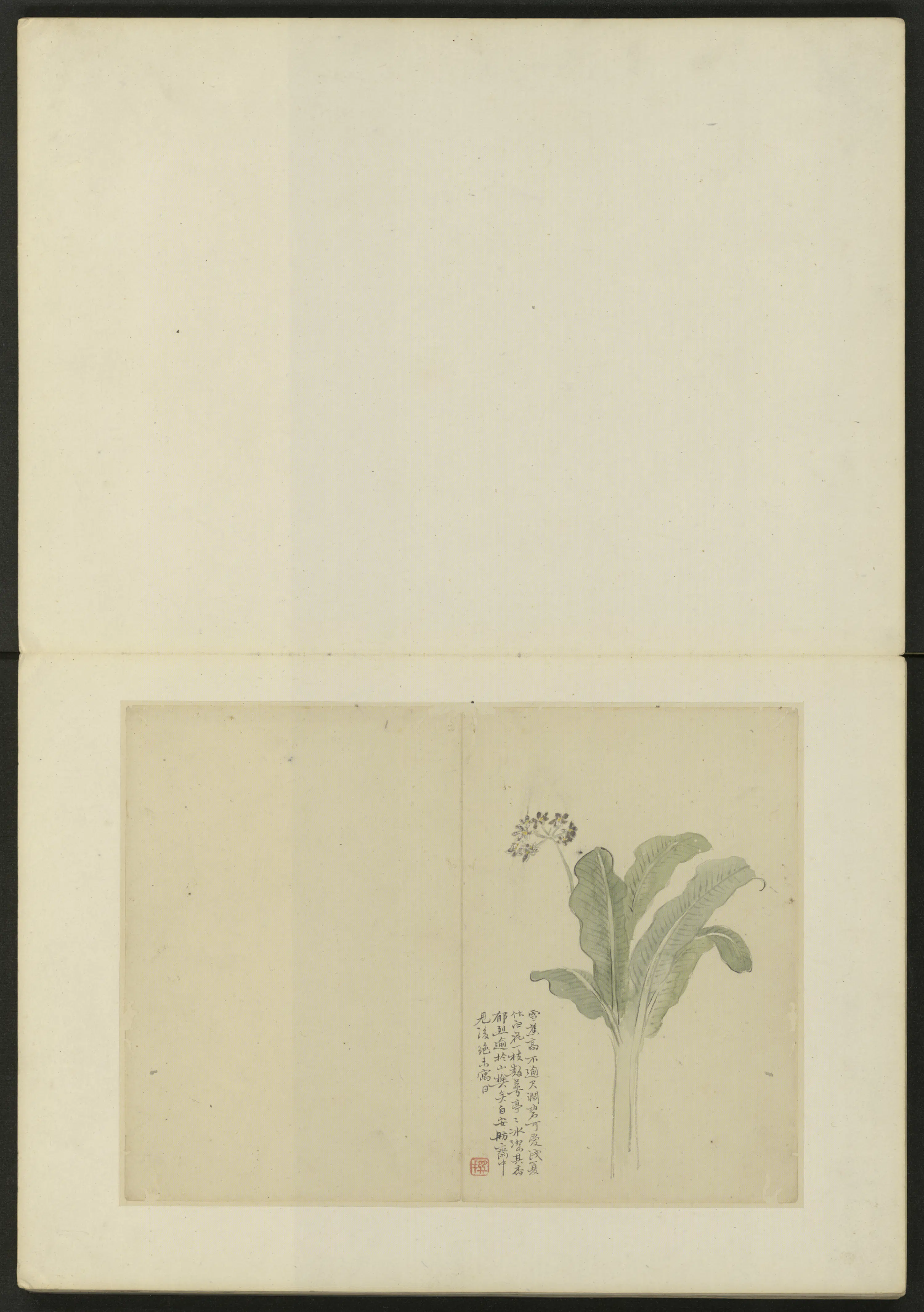 清代【陈撰】《花卉册（10开）》 第3张