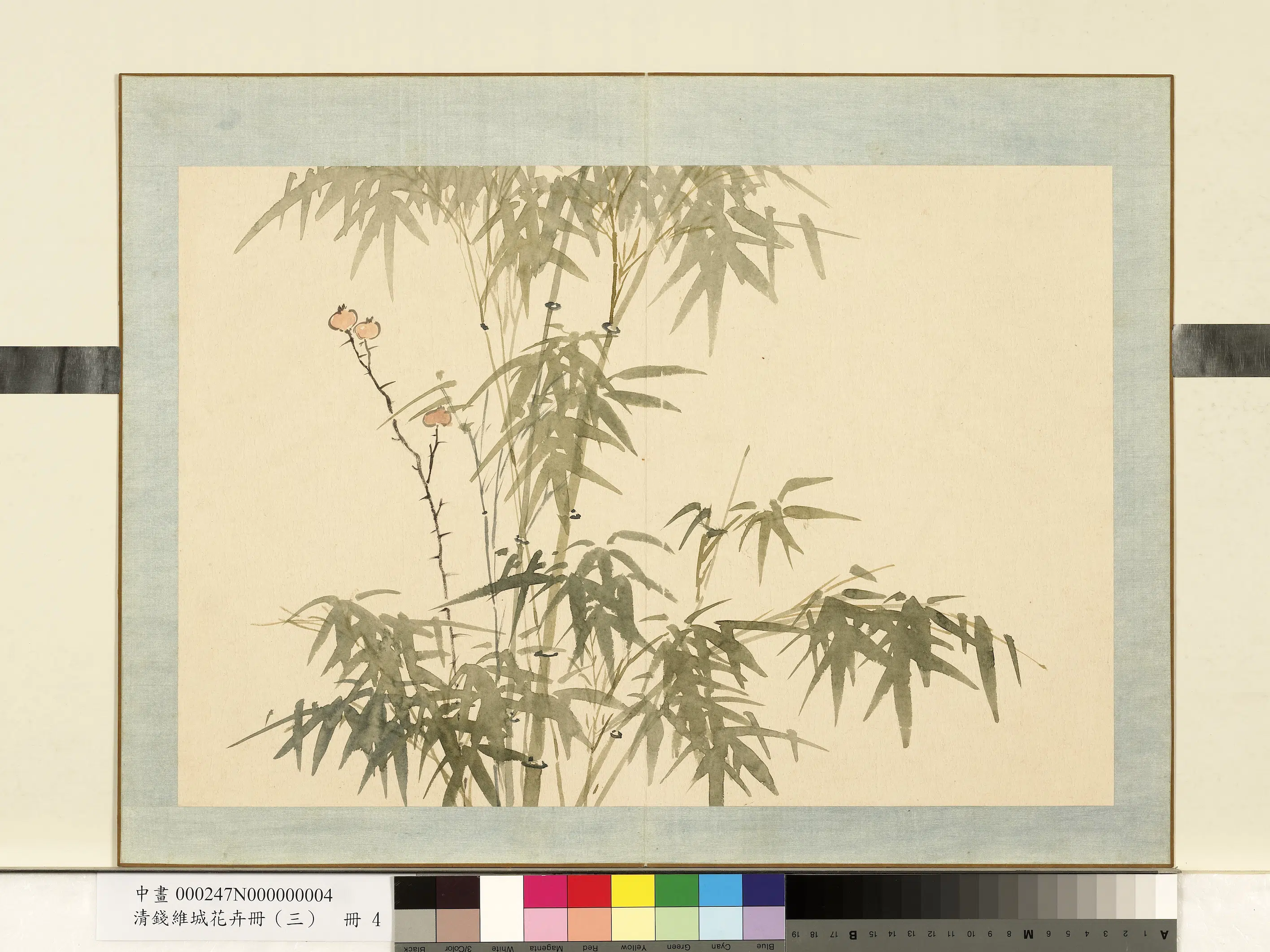 清代【钱维城】《花卉册（三）册-画竹之四》