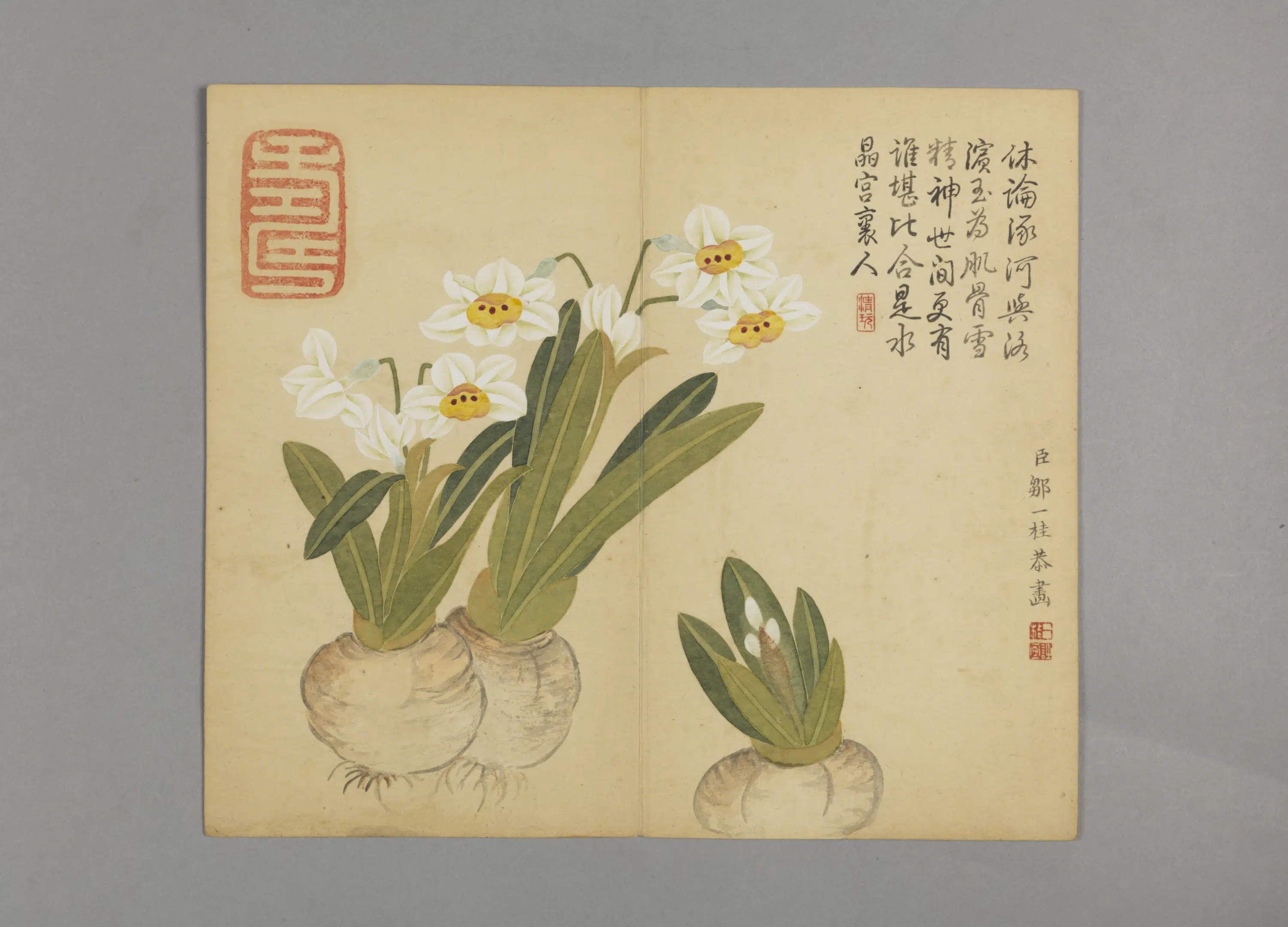 清代【邹一桂】《花鸟草虫图册（12开）》 第3张