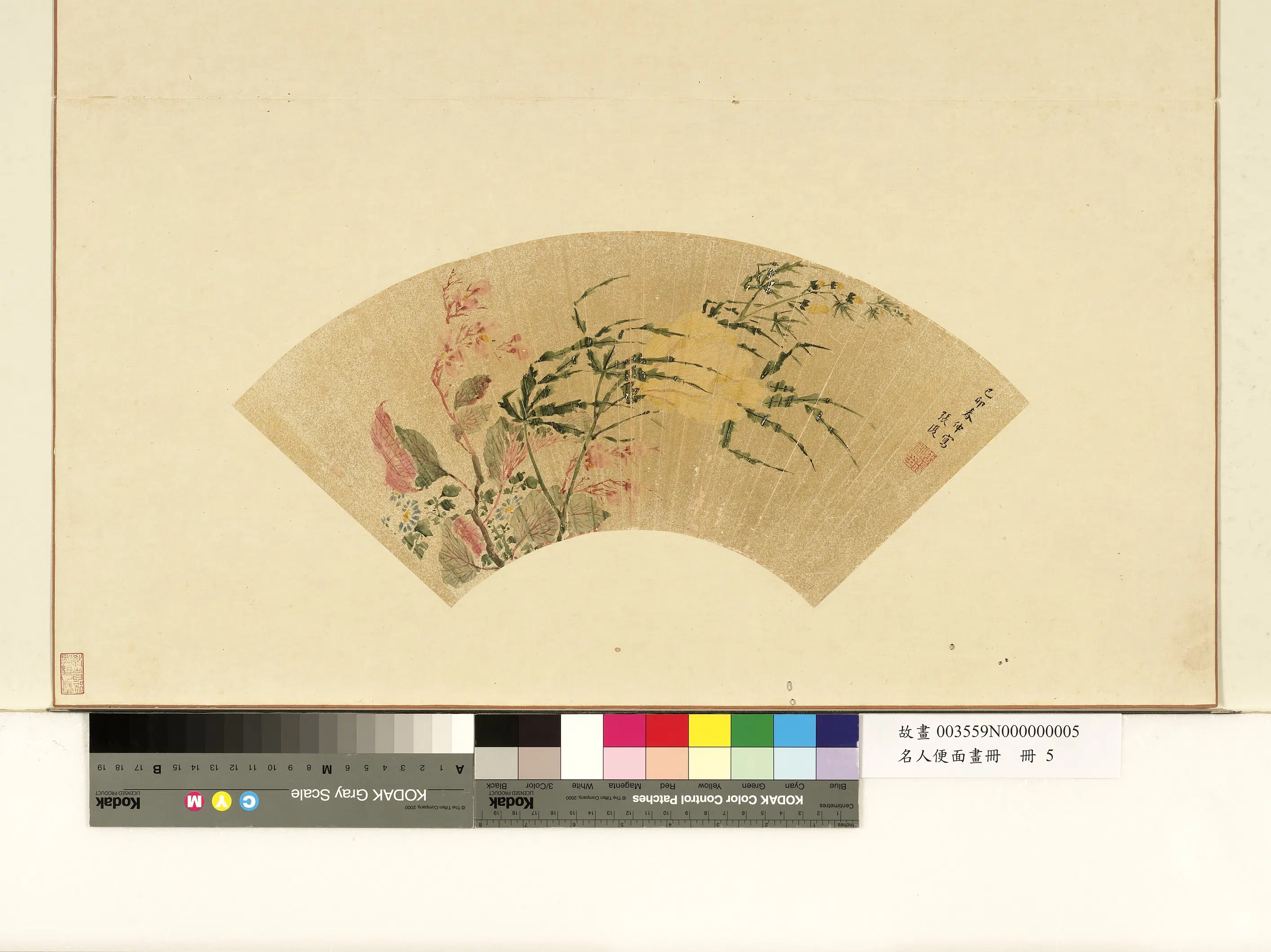 明朝【张复】《秋葵海棠图-名人便面画册》