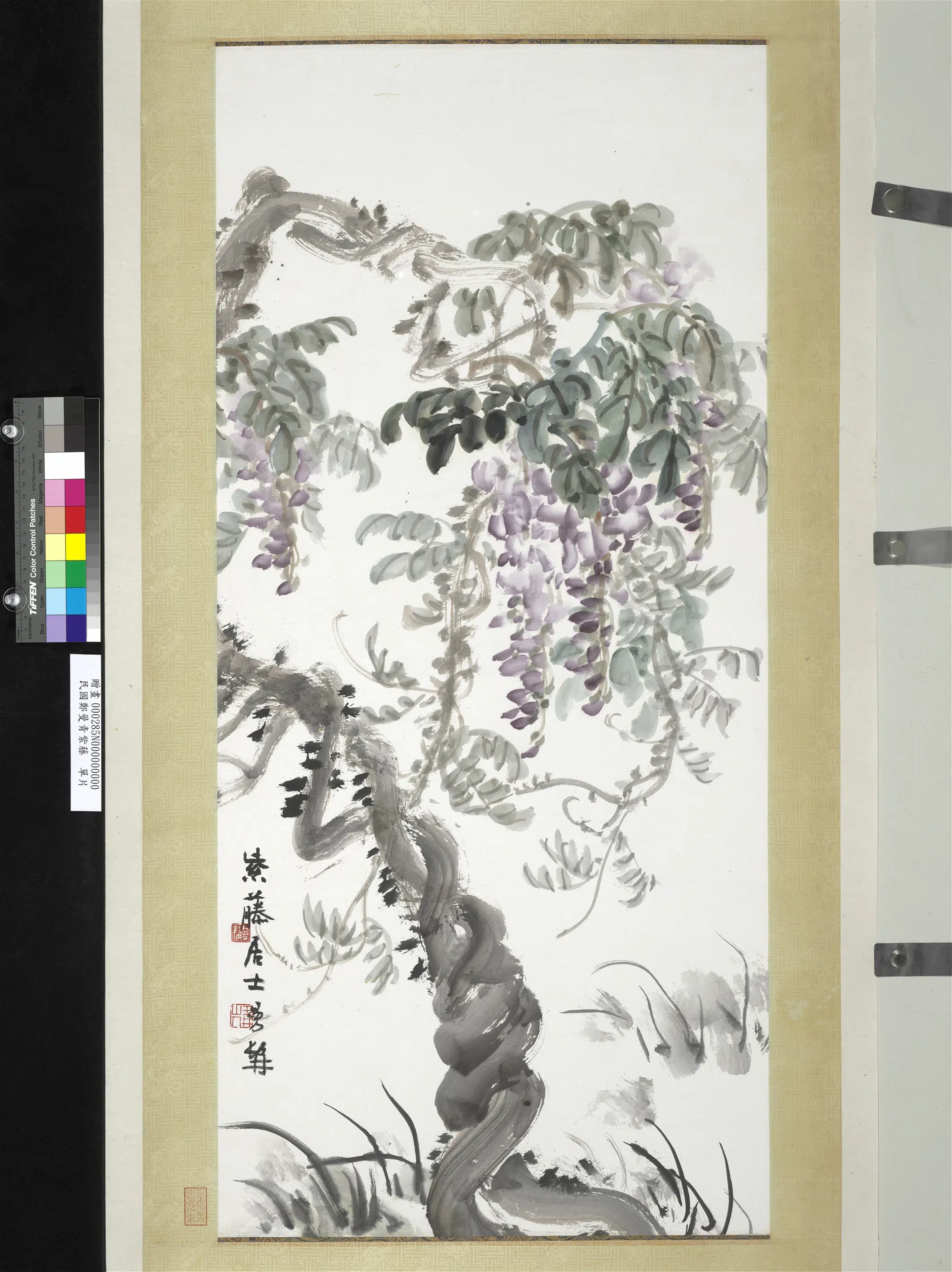近现代【郑曼青】《紫藤单片》