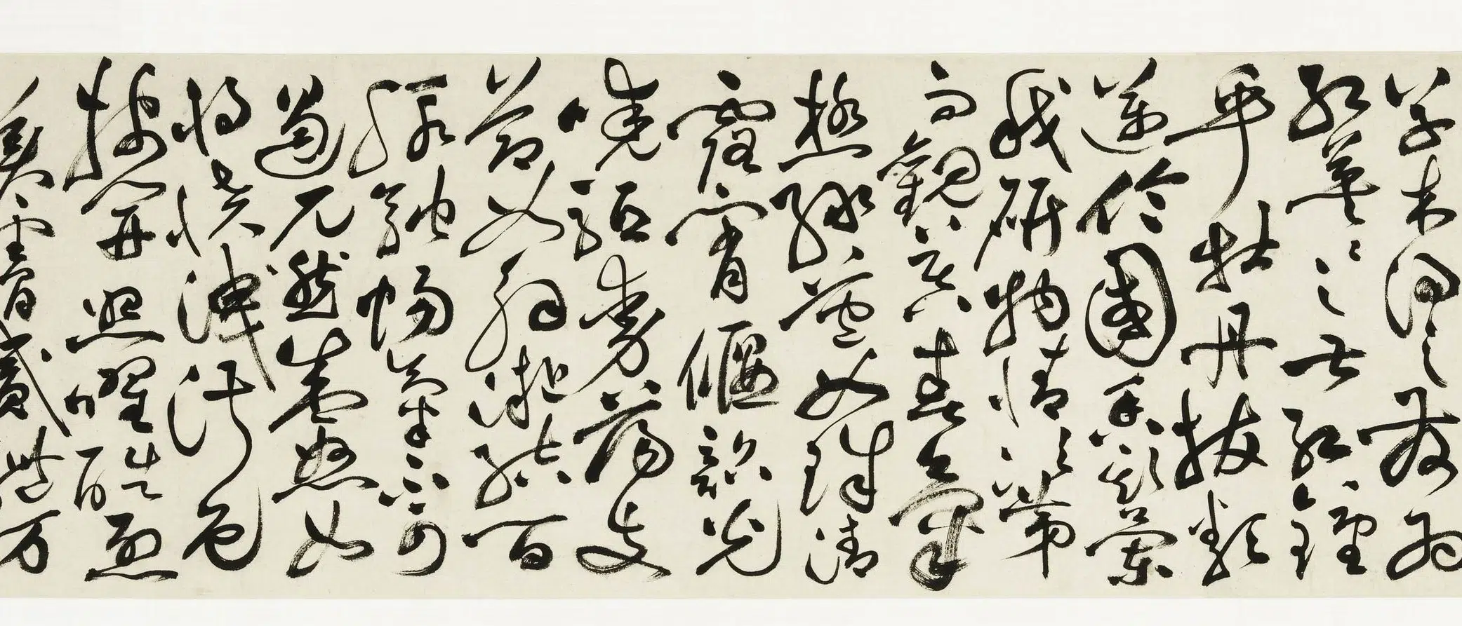 明朝【祝允明】《草书牡丹赋卷》 第12张