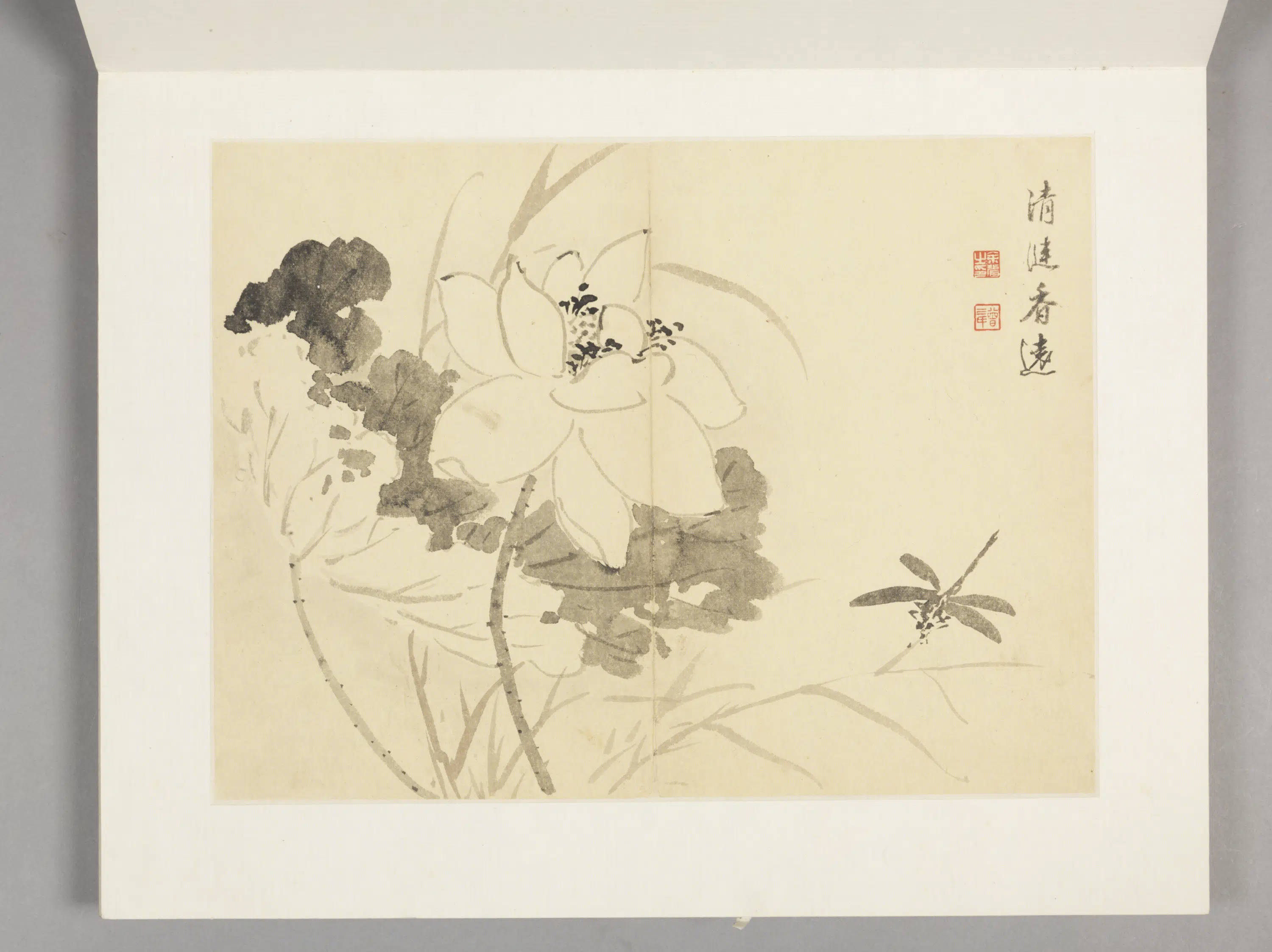 清代【余省】《花卉册（12开）》 第8张