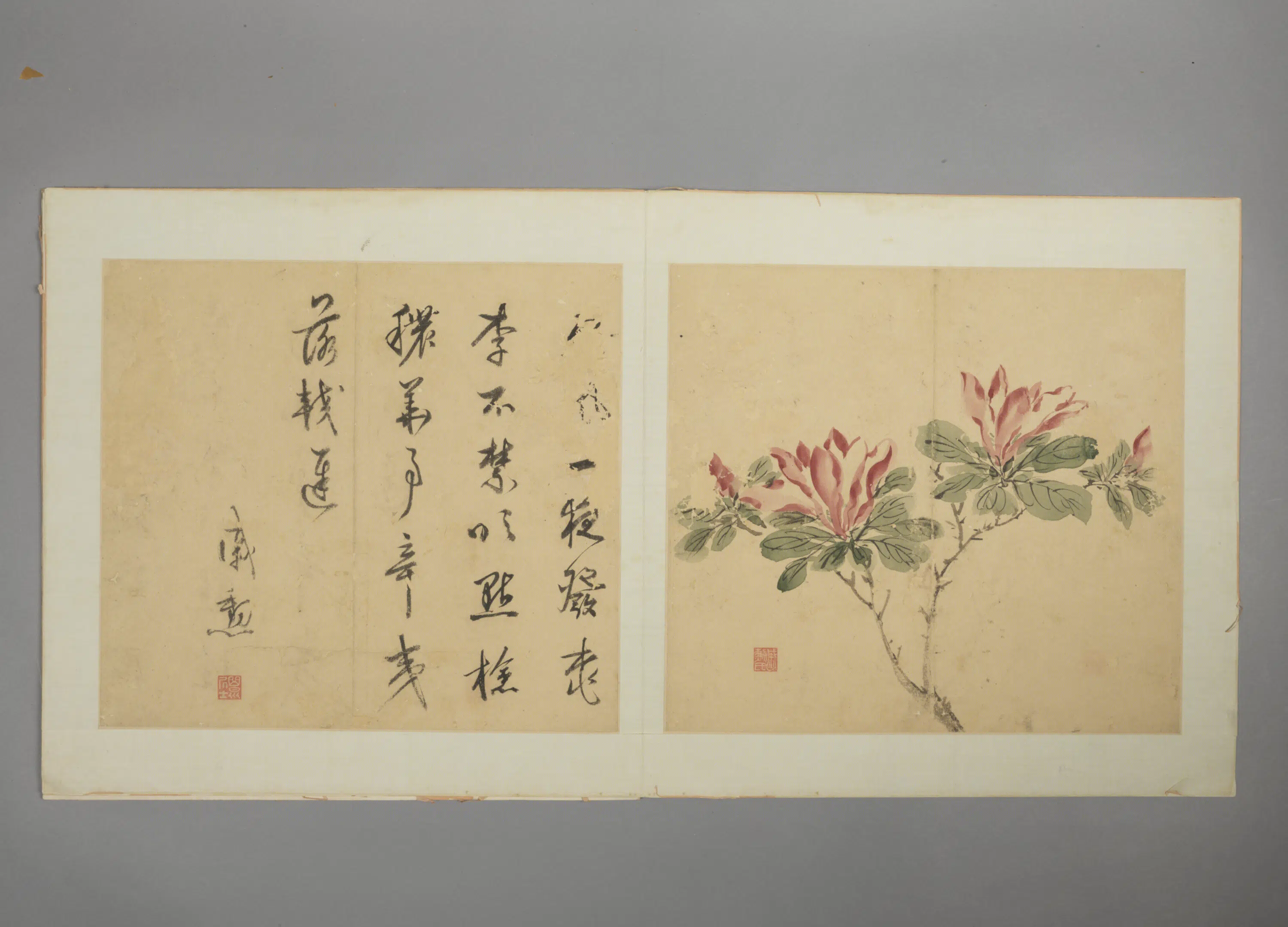明朝【戚勋】《花卉册》 第10张