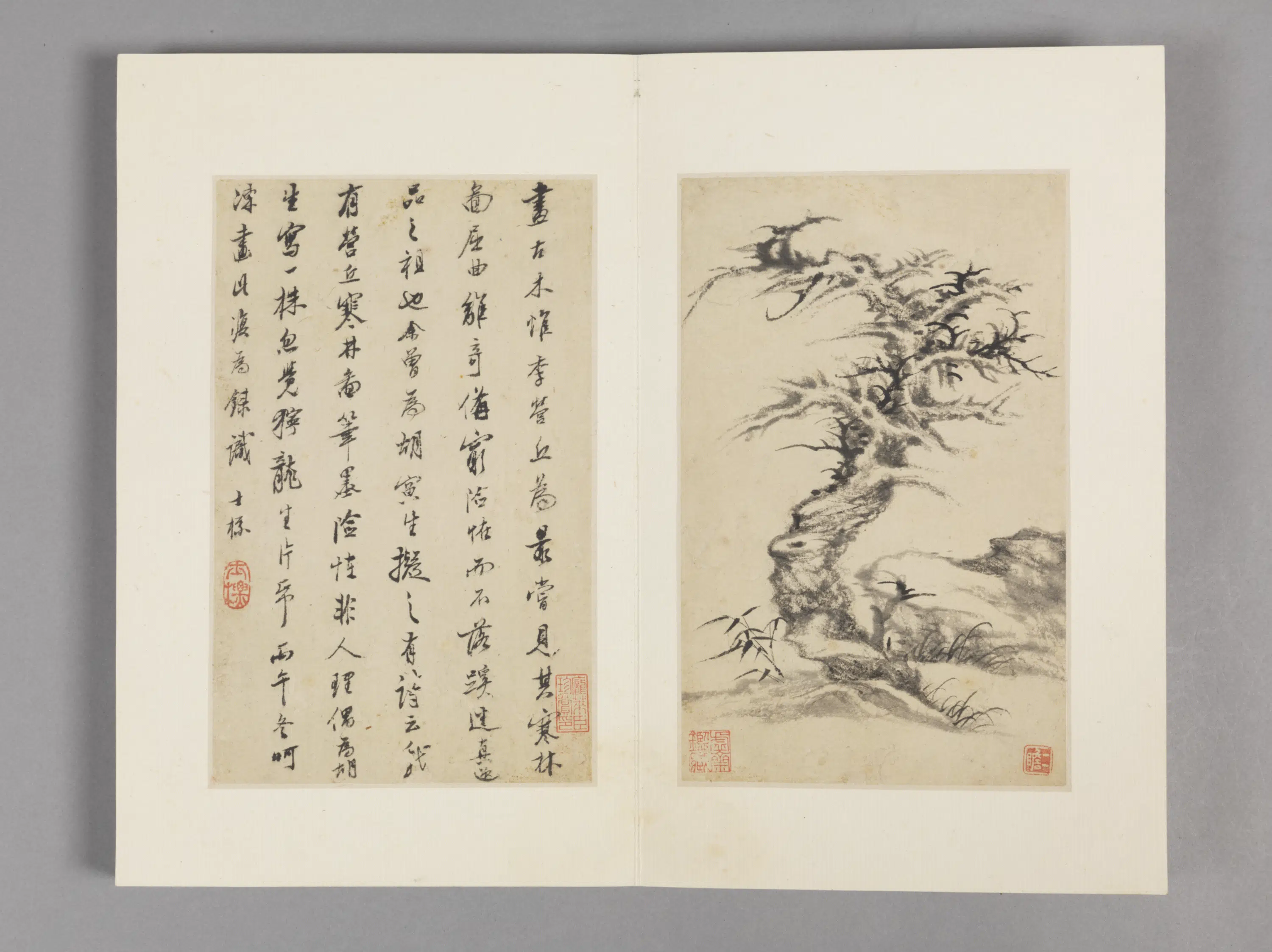 清代【查士标】《枯木竹石册（12开）》 第6张