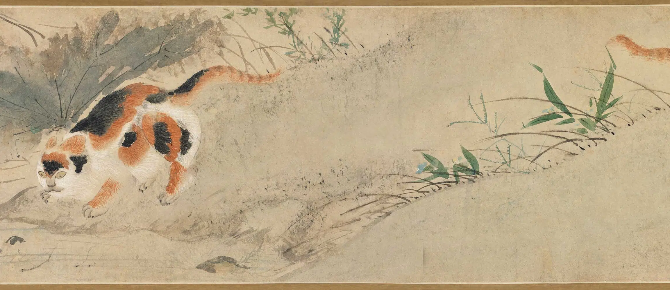 明朝【周之冕】《秋花三猫图卷》 第6张