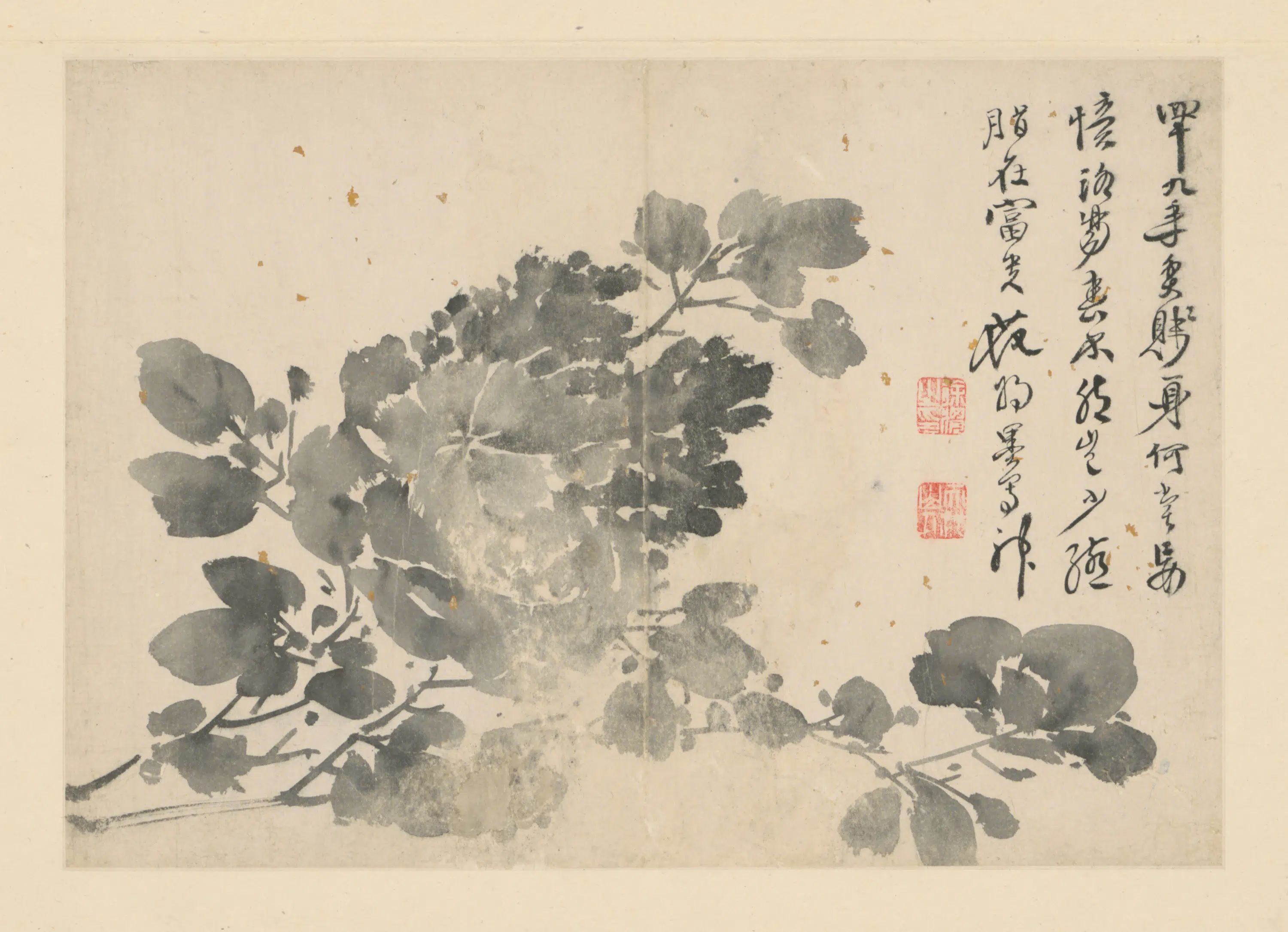 明朝【徐渭】《人物花卉册（14开）》 第14张