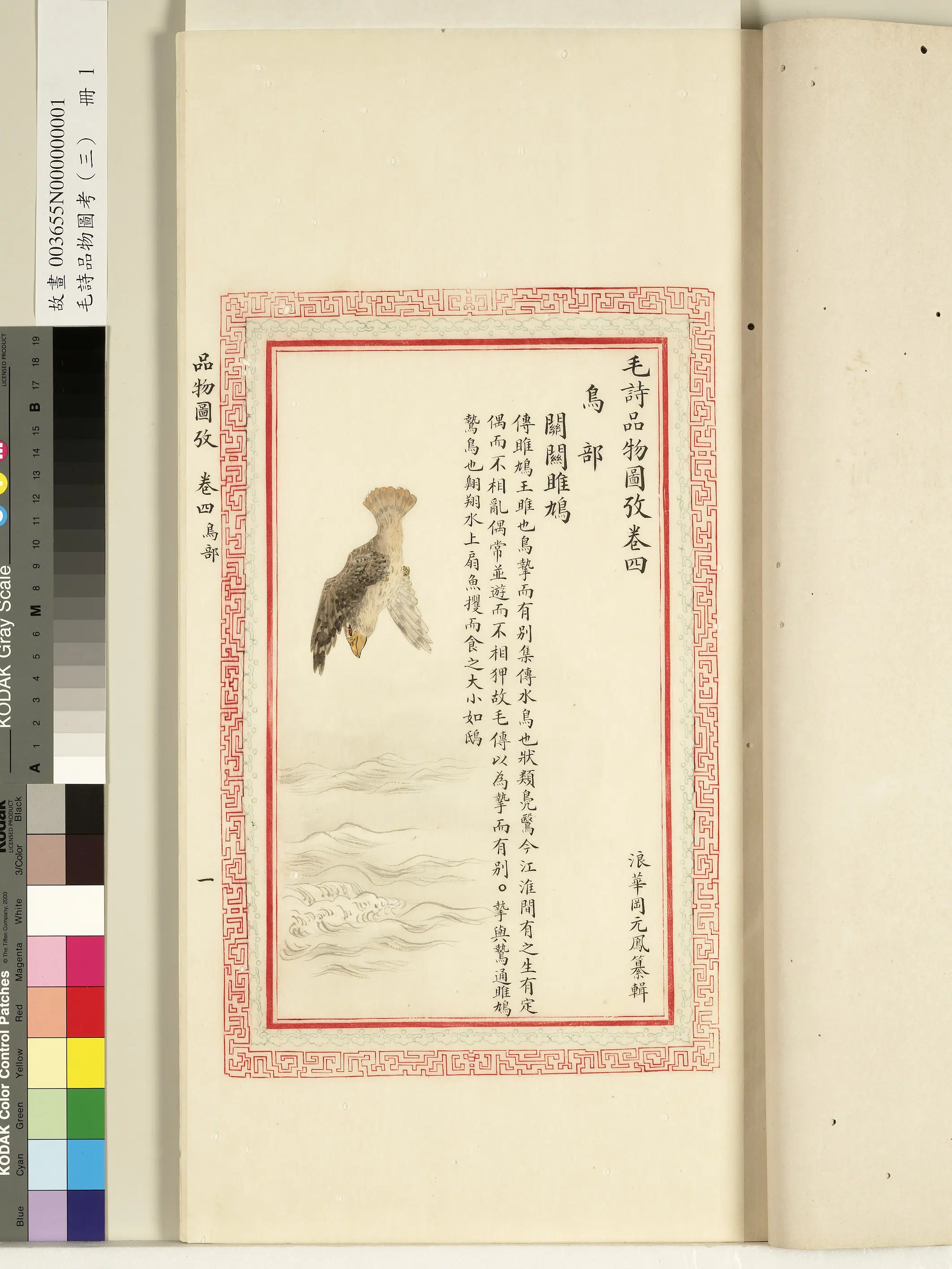 清朝【佚名】《毛诗品物图考（三）册-关关雎鸠-1》