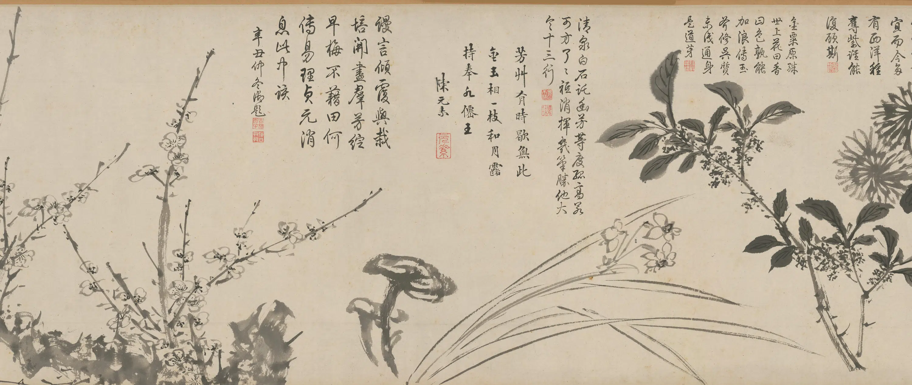 明朝【周之冕】《百花图卷》 第17张 明朝【周之冕】《百花图卷》 第17张