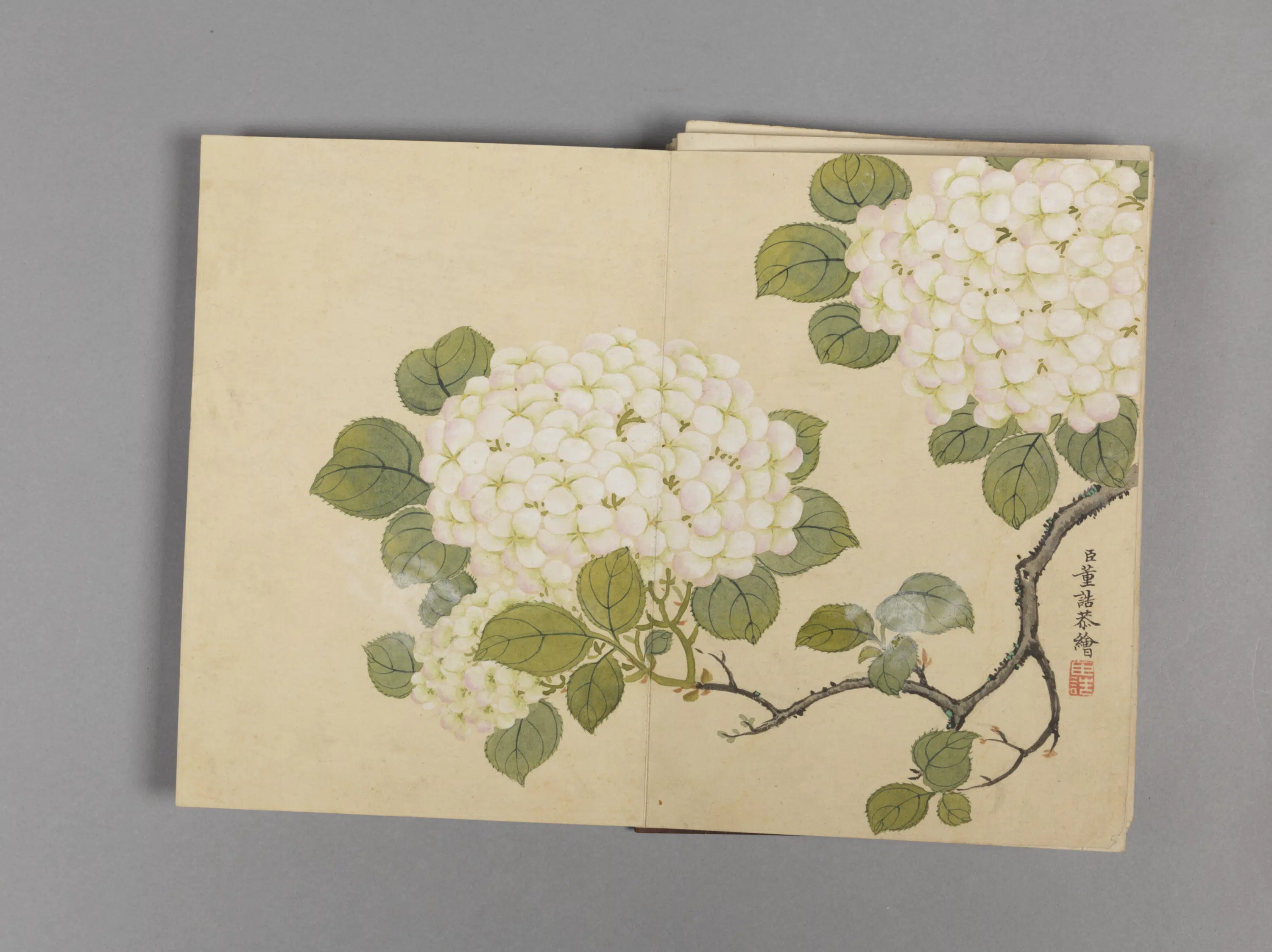 清代【董诰】《花卉小册（16开）》 第8张