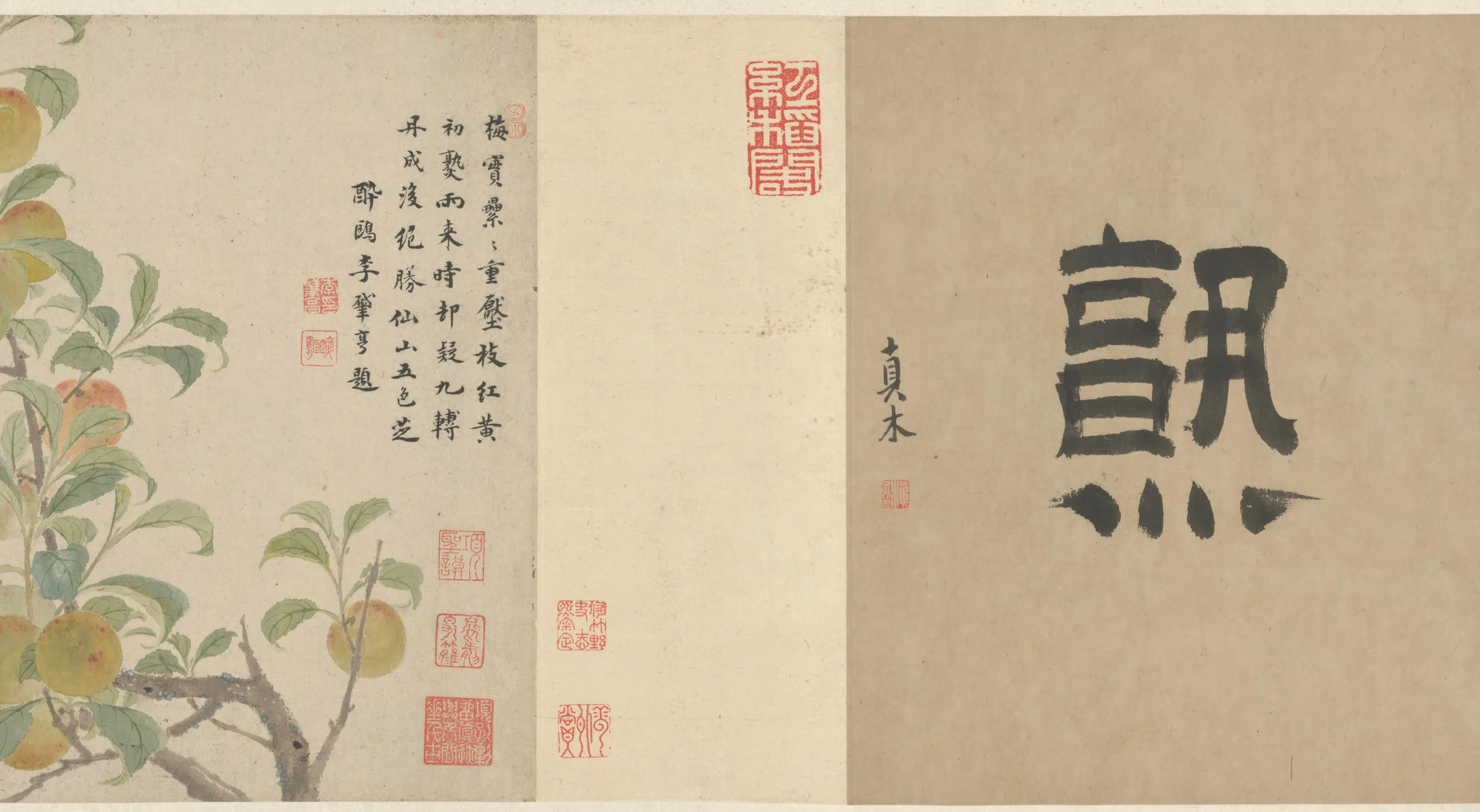明朝【项圣谟】《青梅初熟卷》 第2张