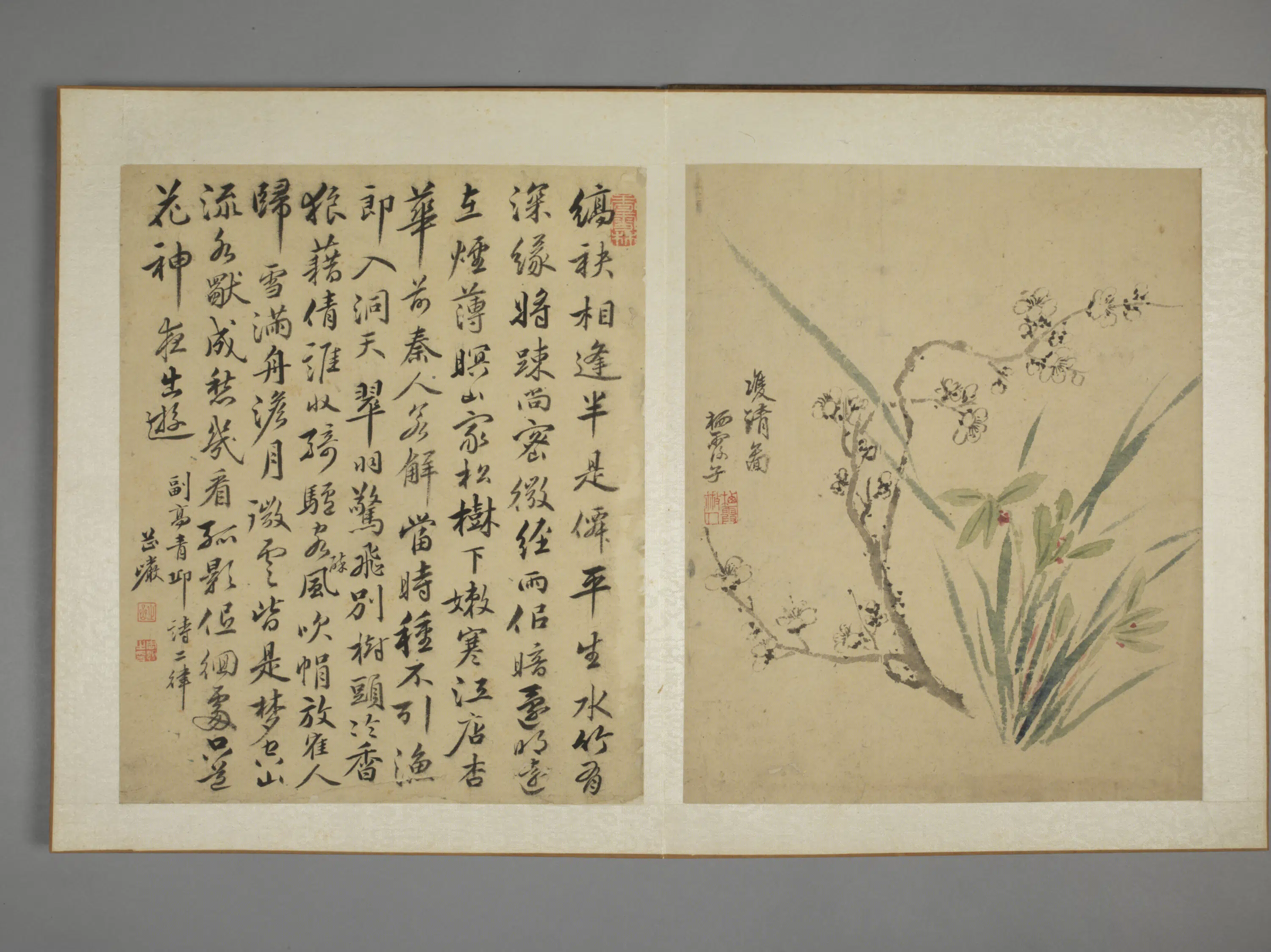 清代【马元驭】《花鸟图册》 第9张