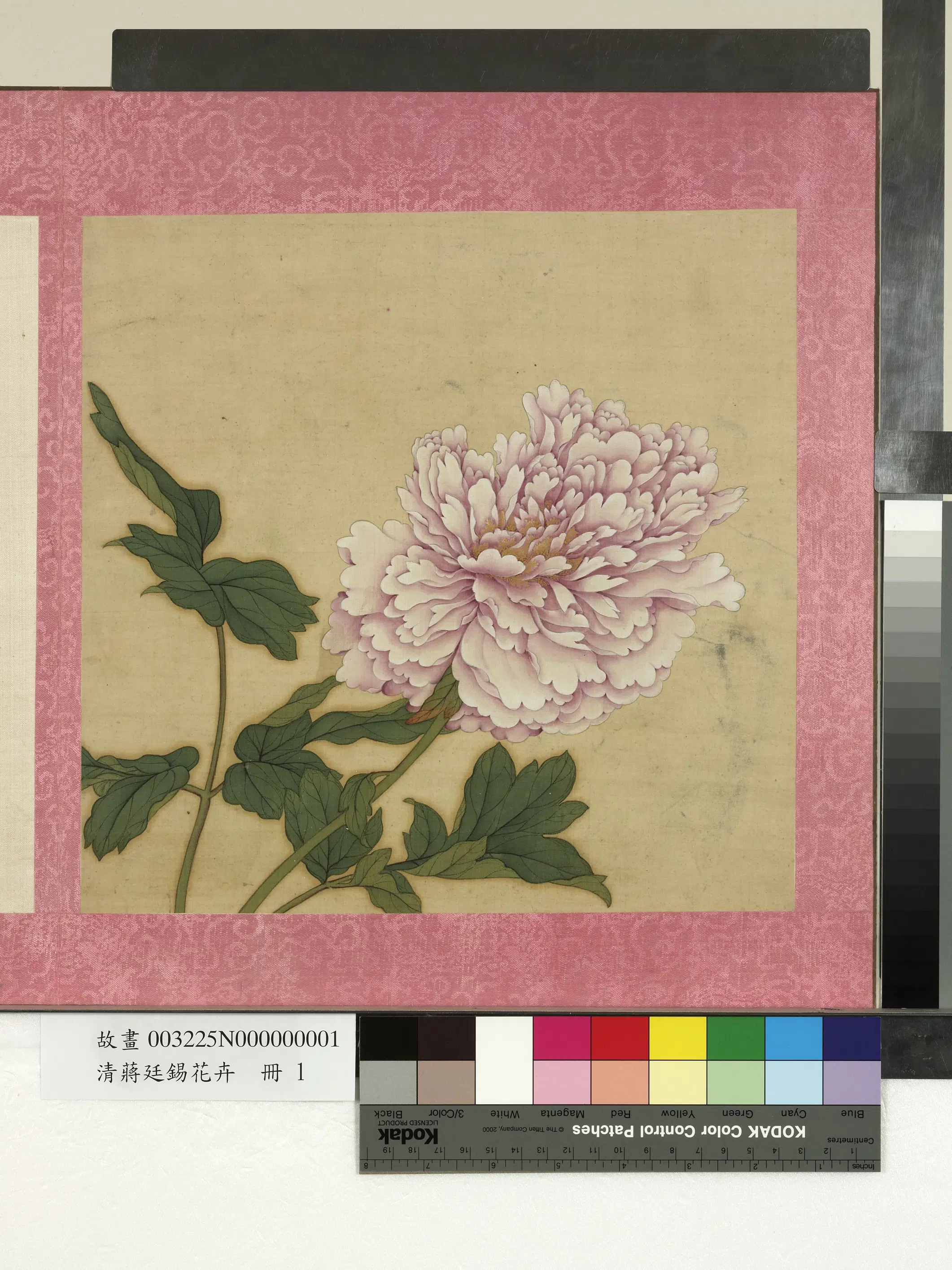 清代【蒋廷锡】《花卉册》 第7张