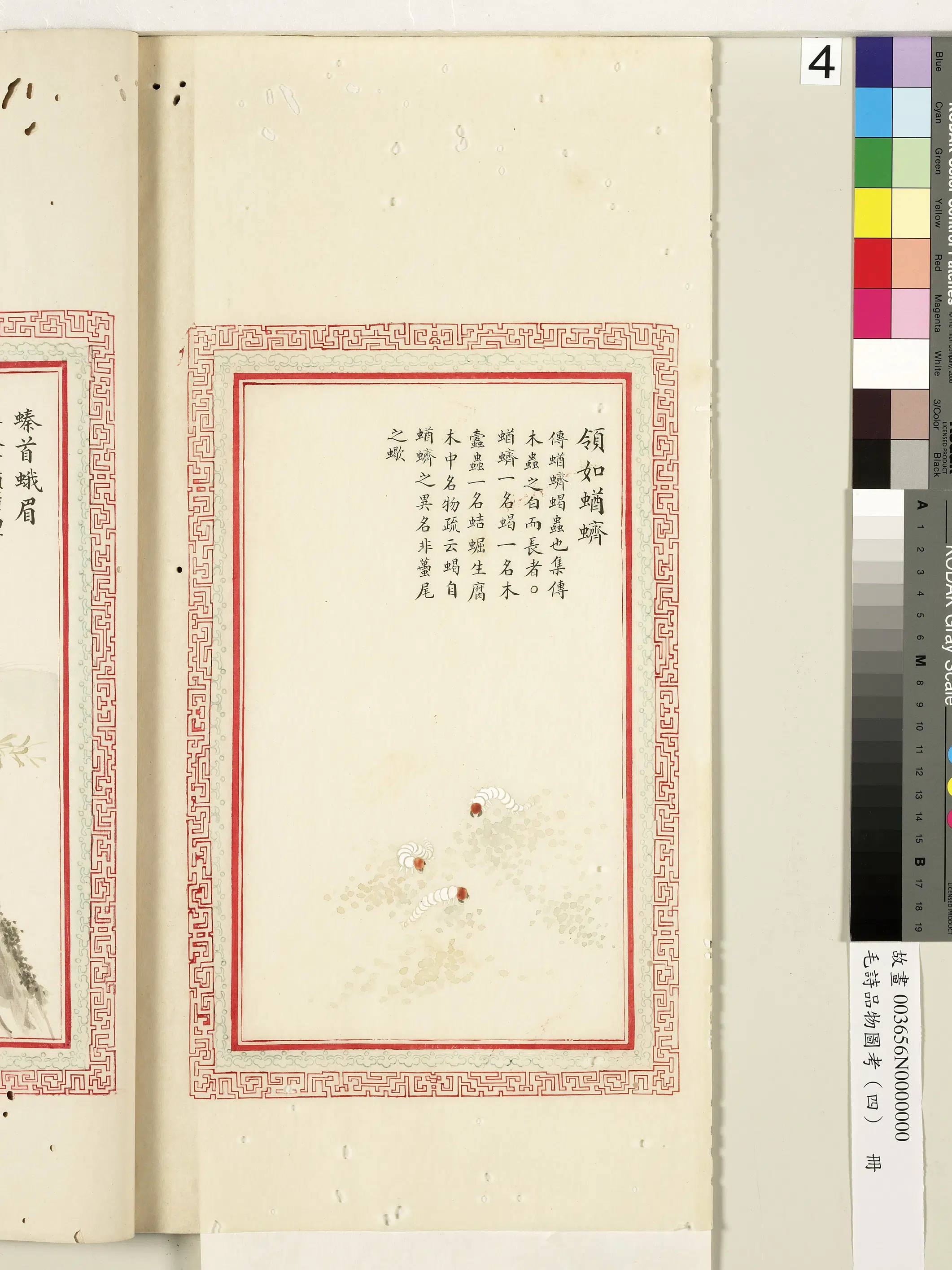 清代《毛诗品物图考（四）册-1》 第27张