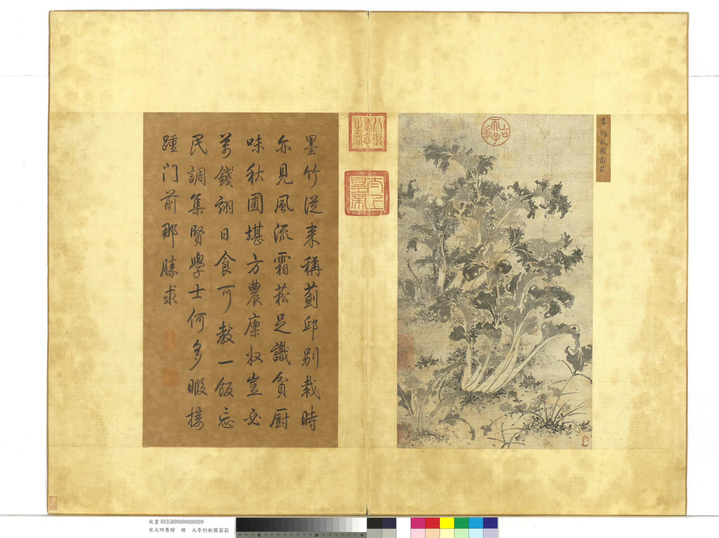元朝【李衎】《秋圃霜菘图_宋元明集绘册》