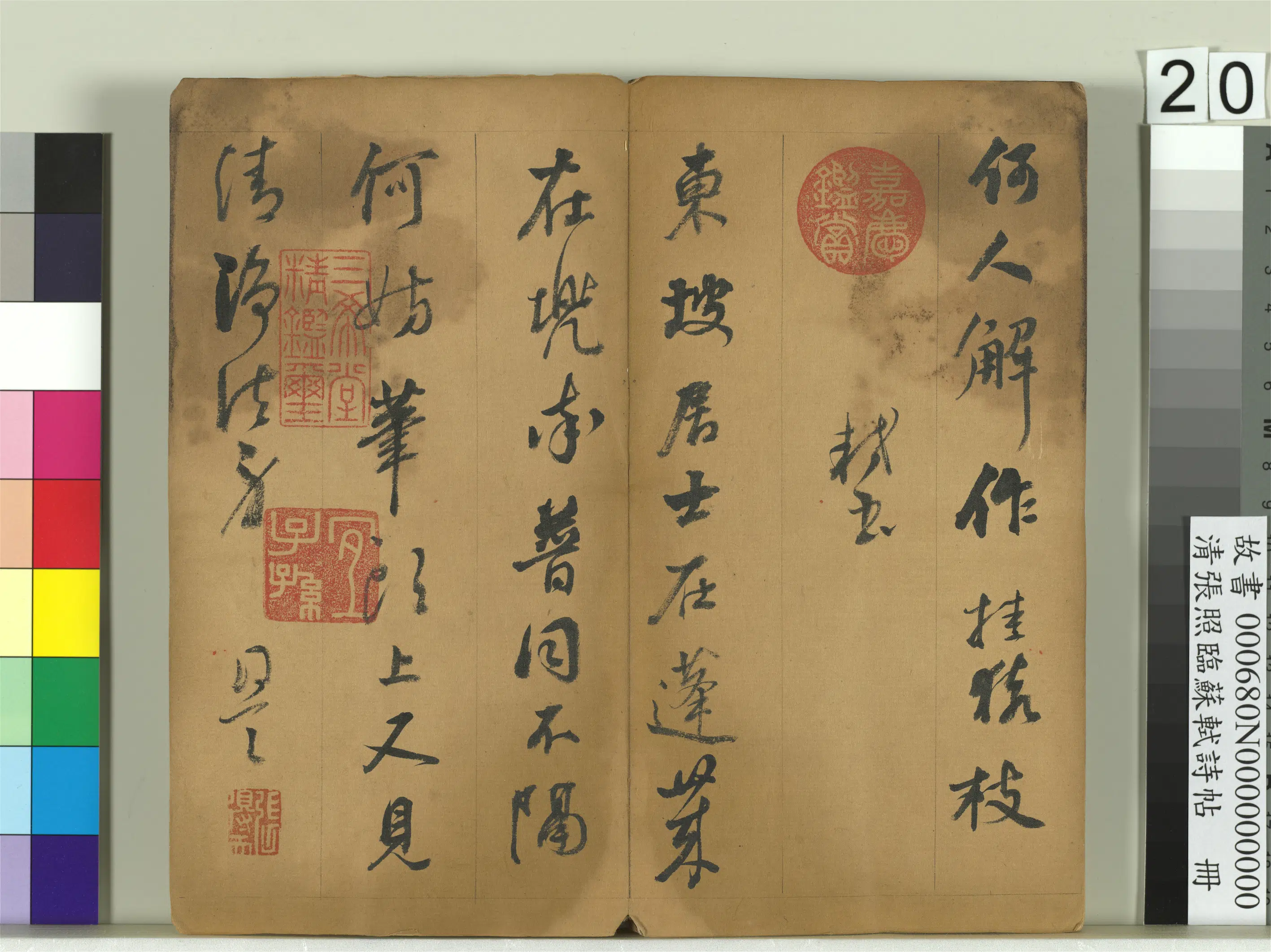 清代【张照】《临苏轼诗帖册》 第13张