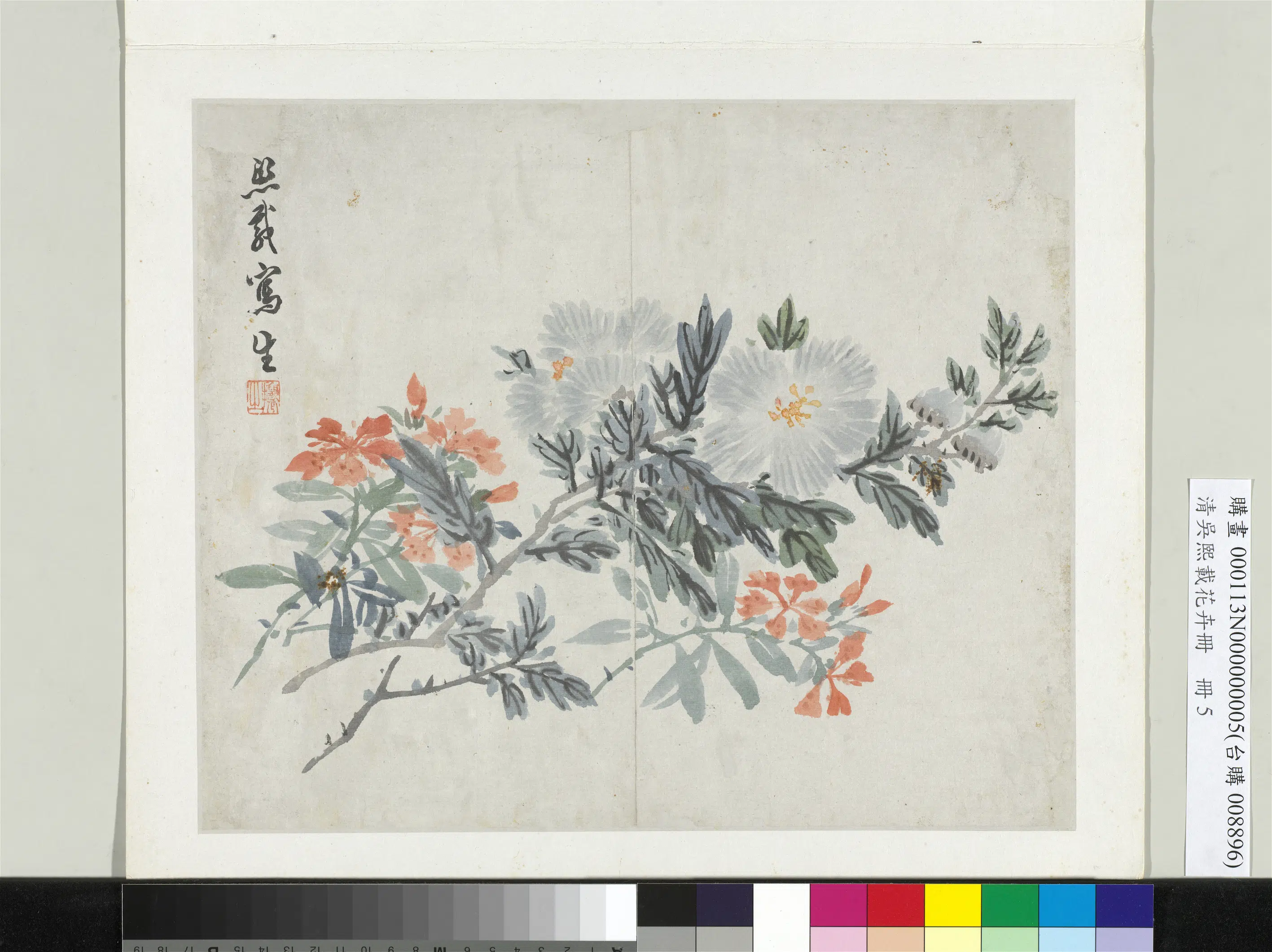 清代【吴熙载】《花卉册-锦葵》