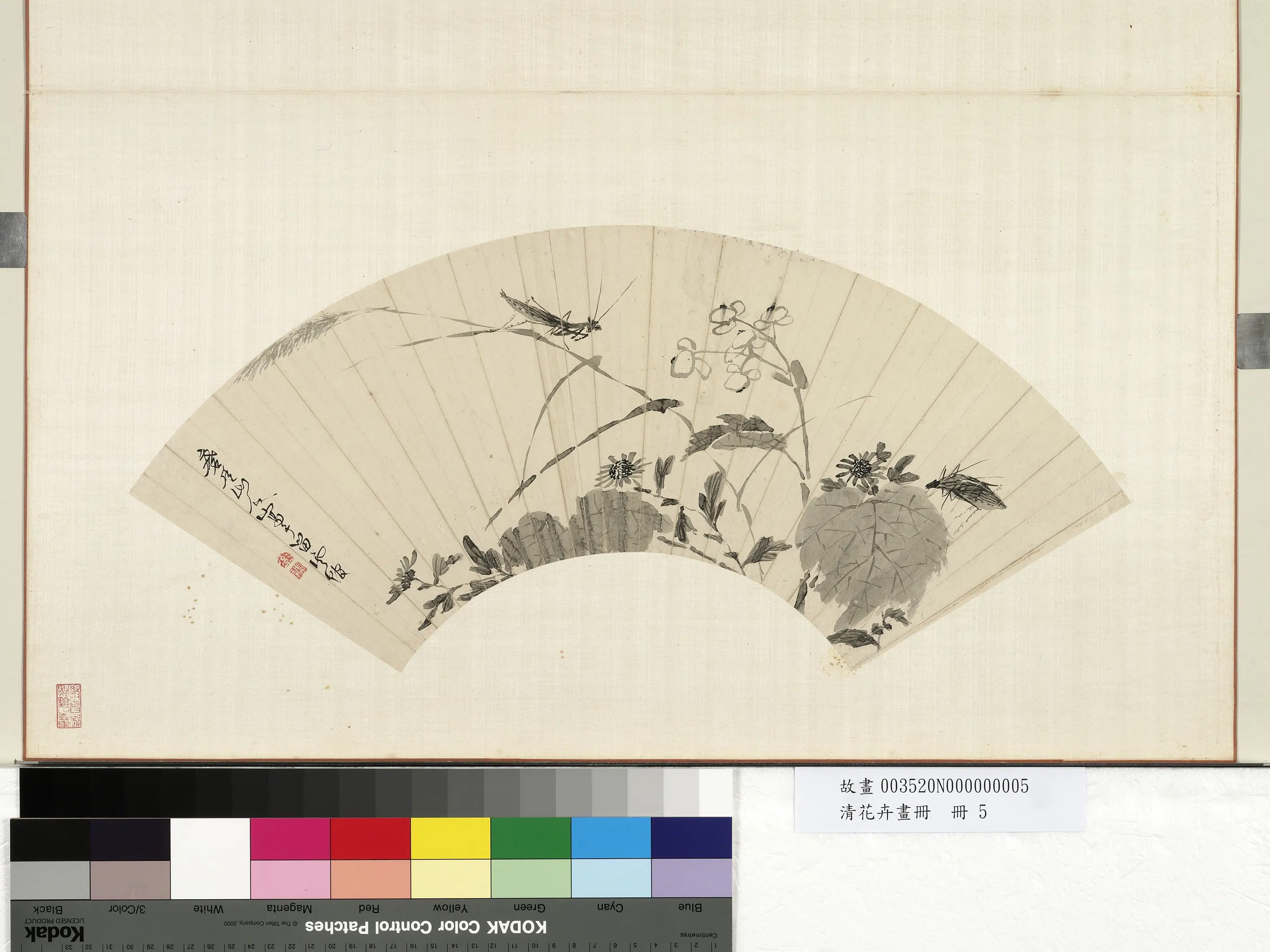 《花卉画册-人秋花》