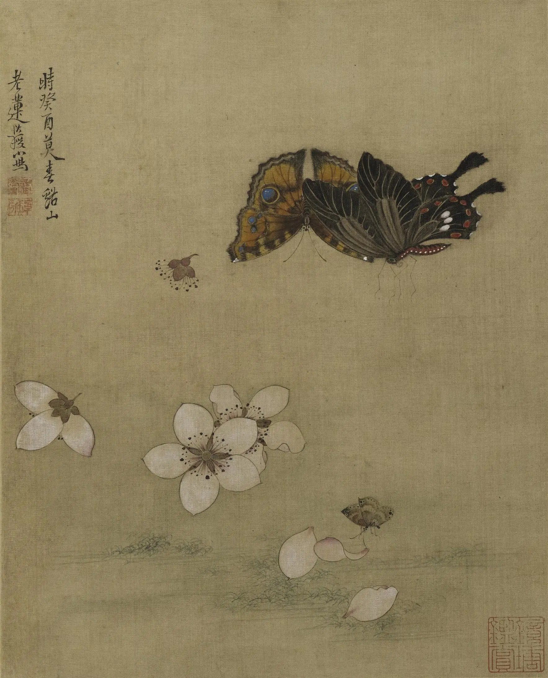 明朝【陈洪绶】《花鸟草虫册》