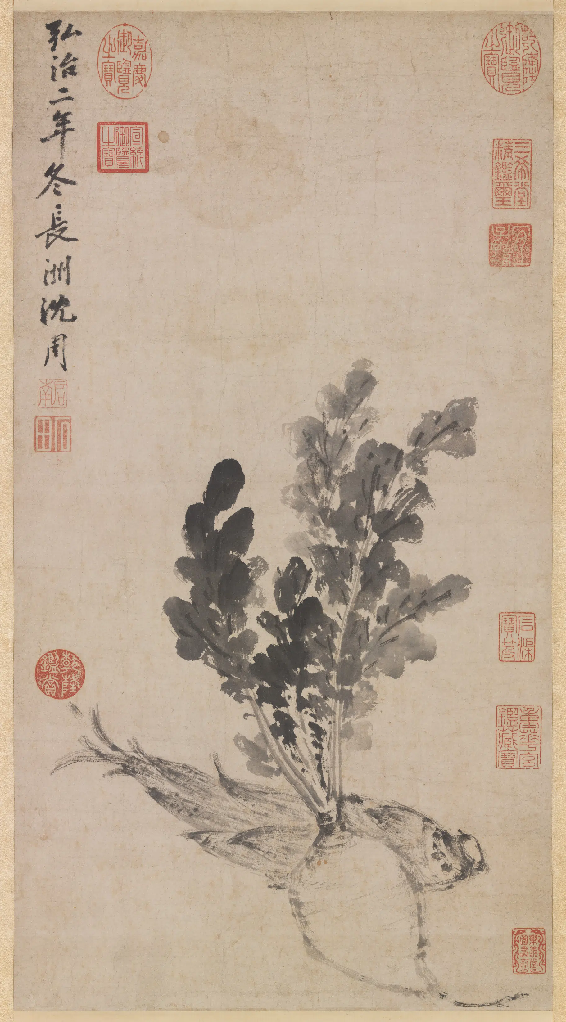 明朝【沈周】《蔬笋写生图轴》
