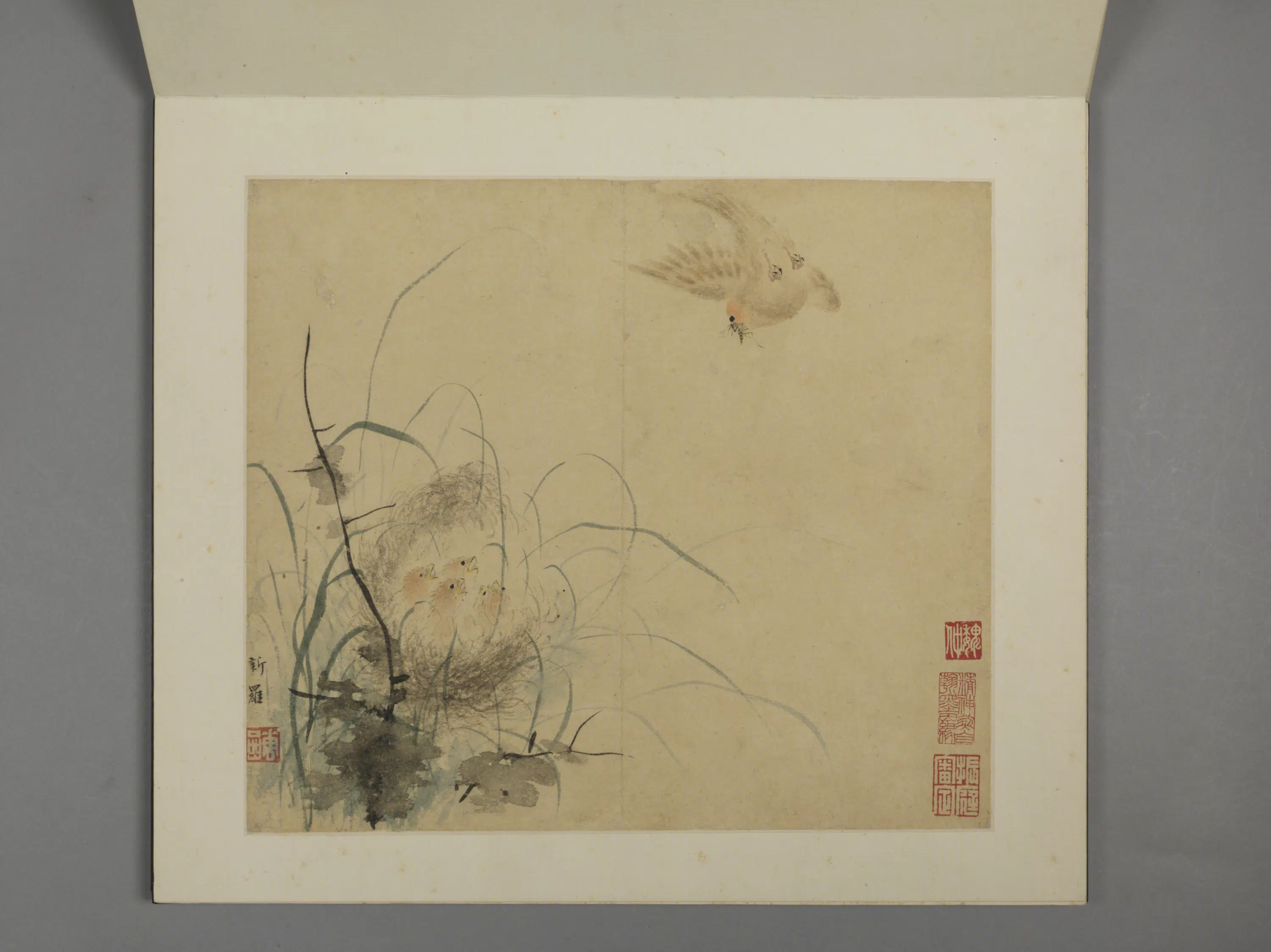 清代【华喦】《花鸟册（8开）》 第8张