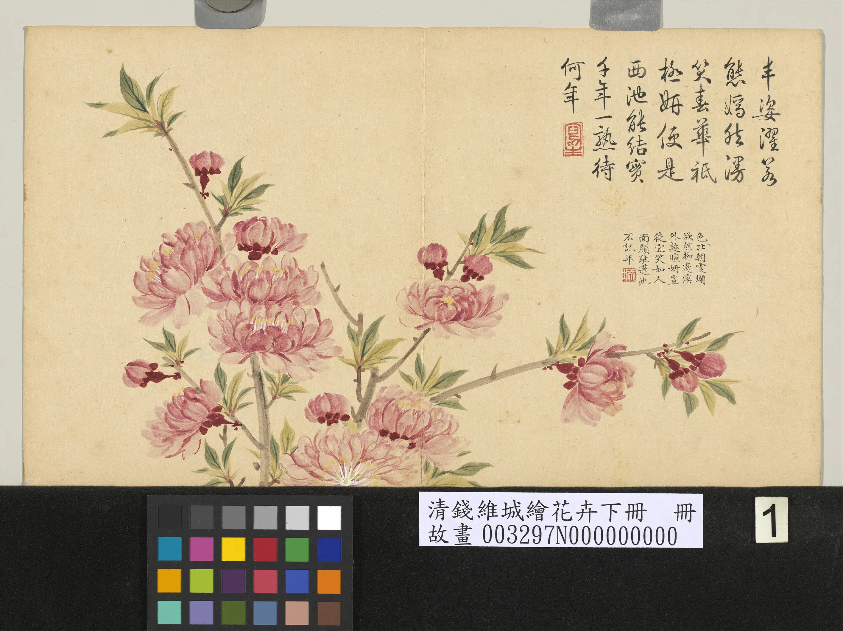 清代【钱维城】《绘花卉（下）册-碧桃》