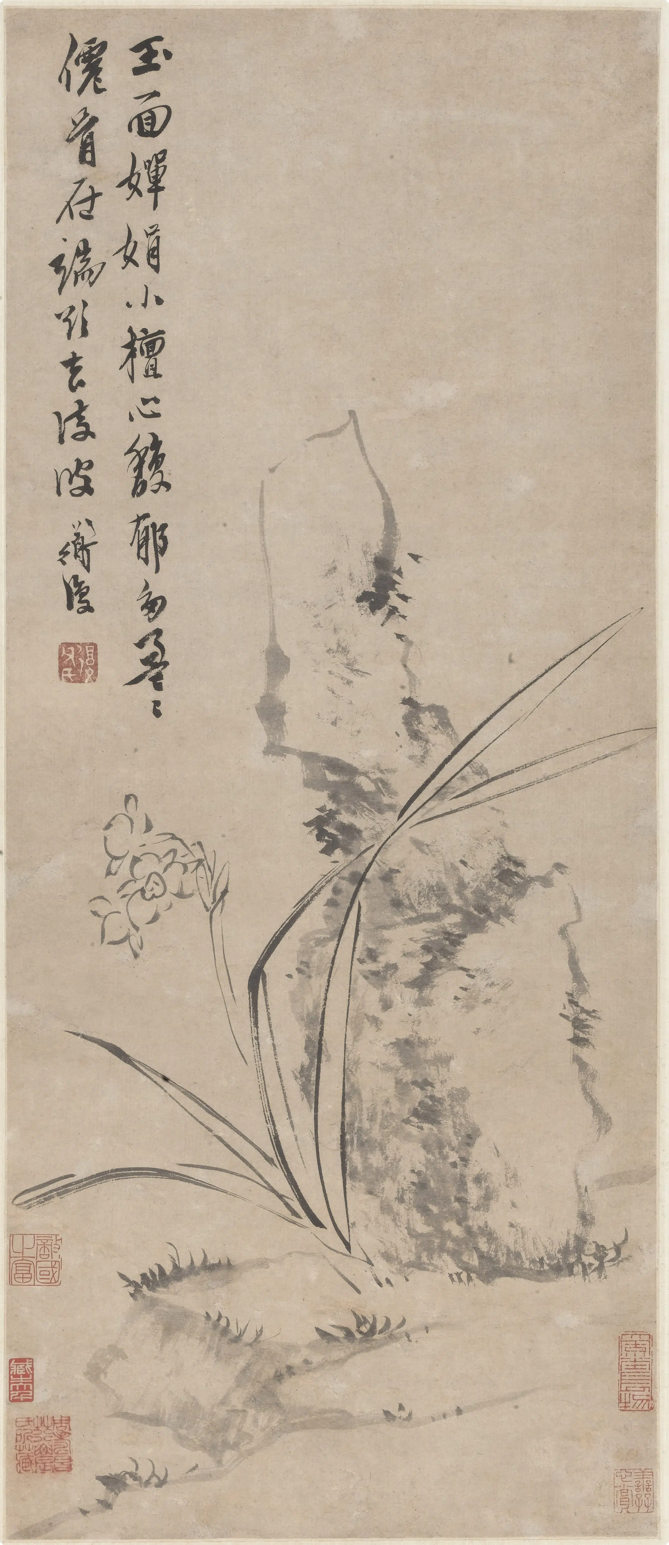 明朝【陈淳（道复）】《倚石水仙图轴》