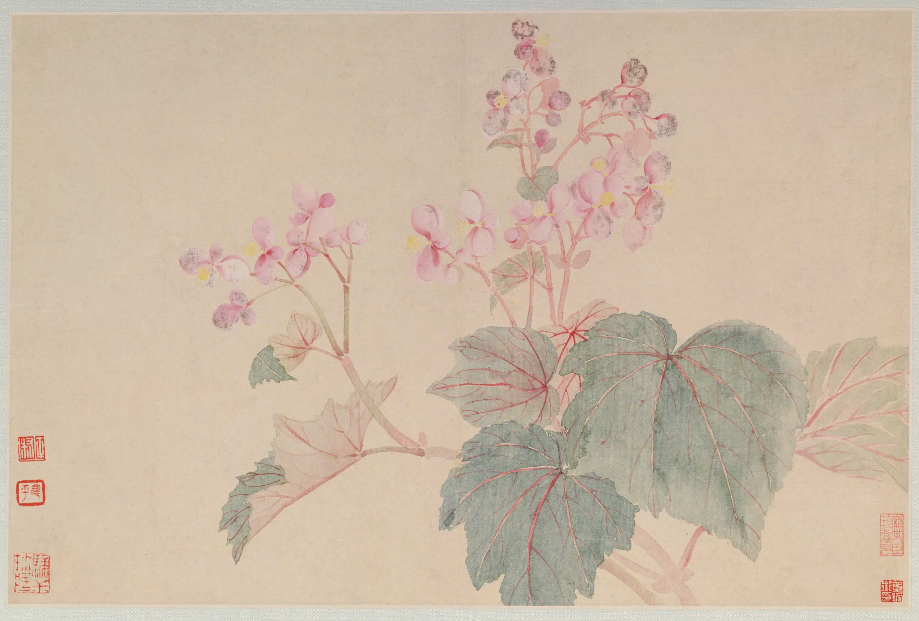 清代【恽寿平】《花卉山水册(12开)》 第11张 清代【恽寿平】《花卉山水册(12开)》 第11张