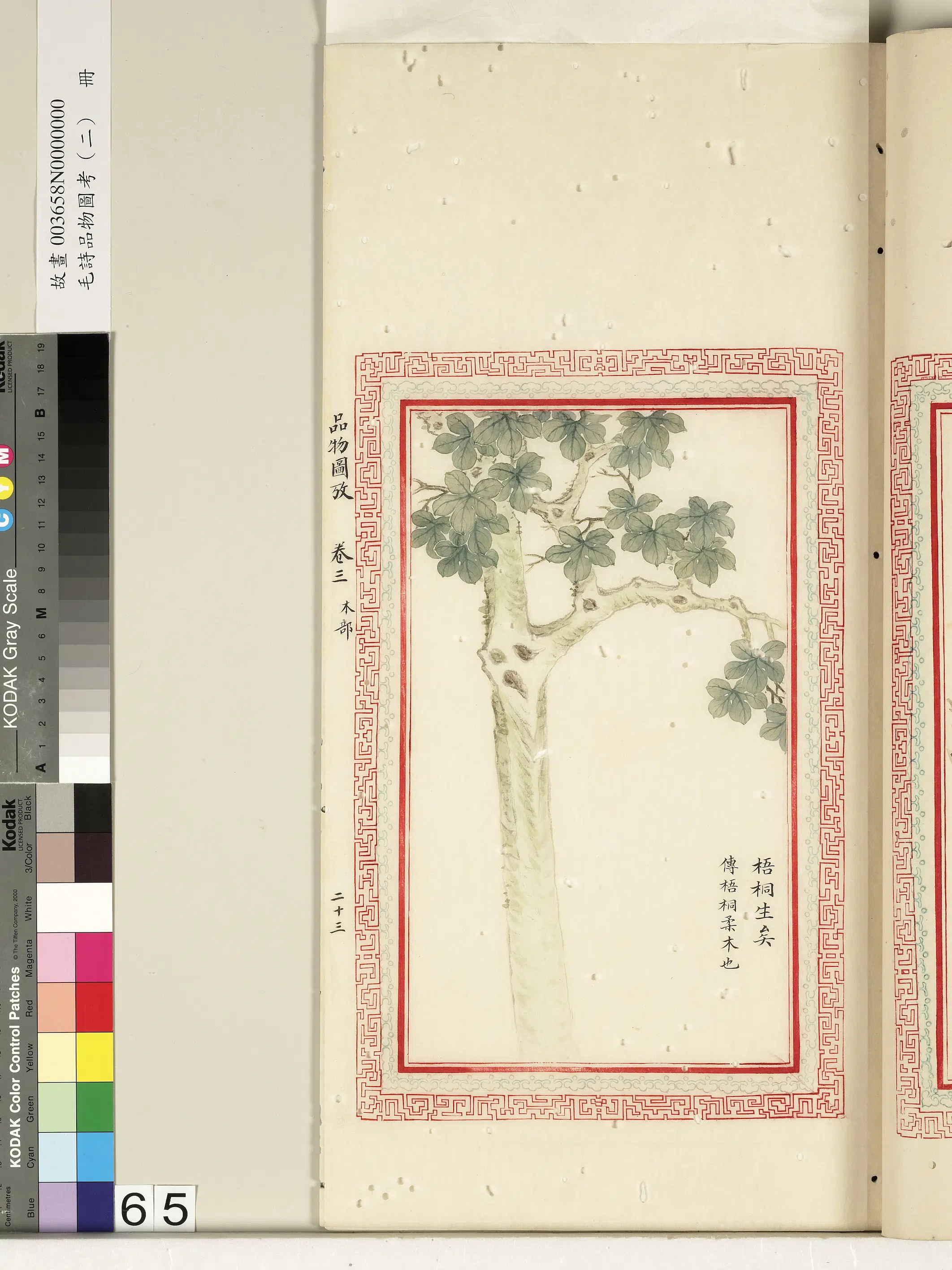 清代《毛诗品物图考（二）册-2》 第34张