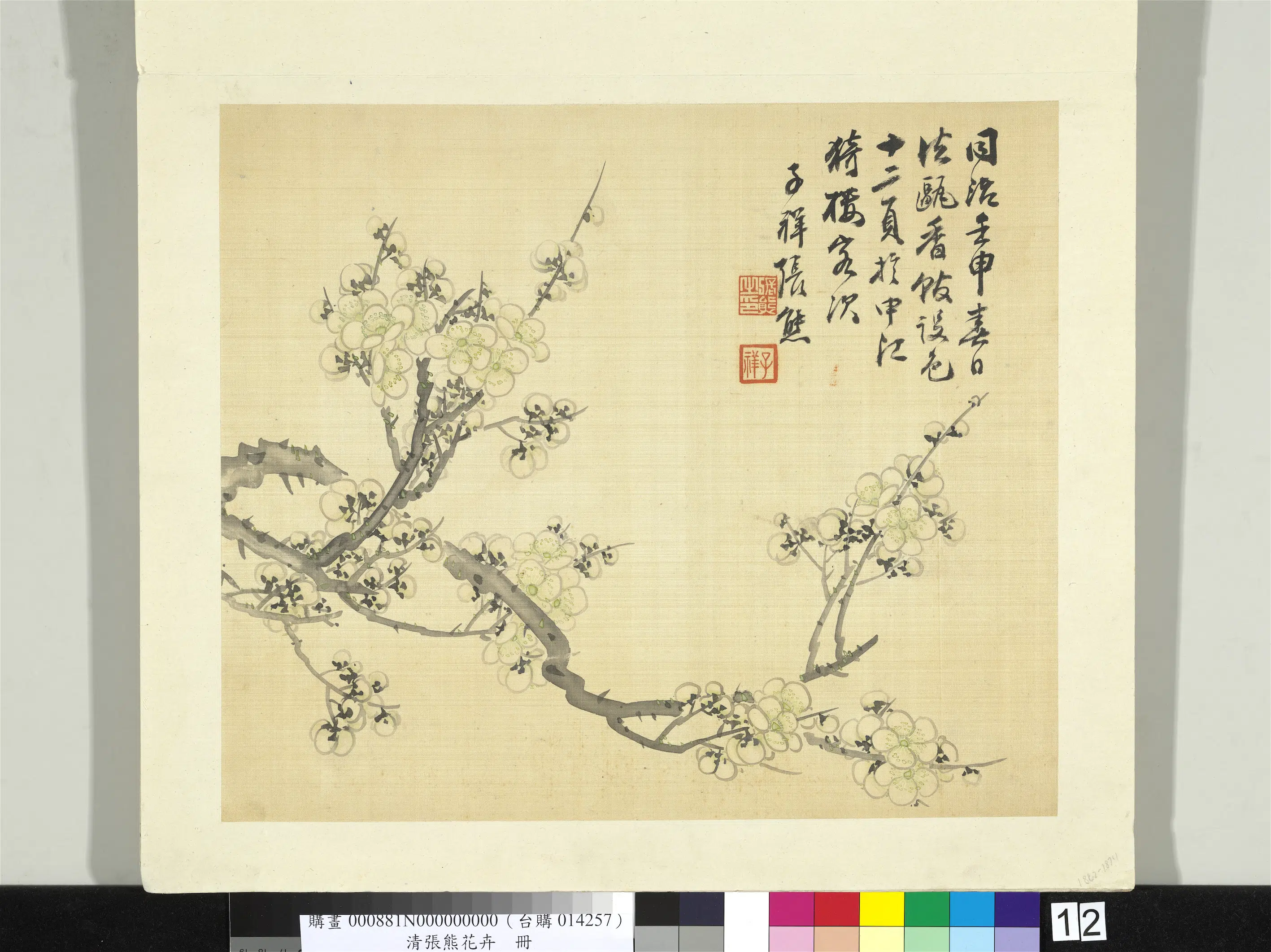 清代【张熊】《花卉册》 第5张 清代【张熊】《花卉册》 第5张