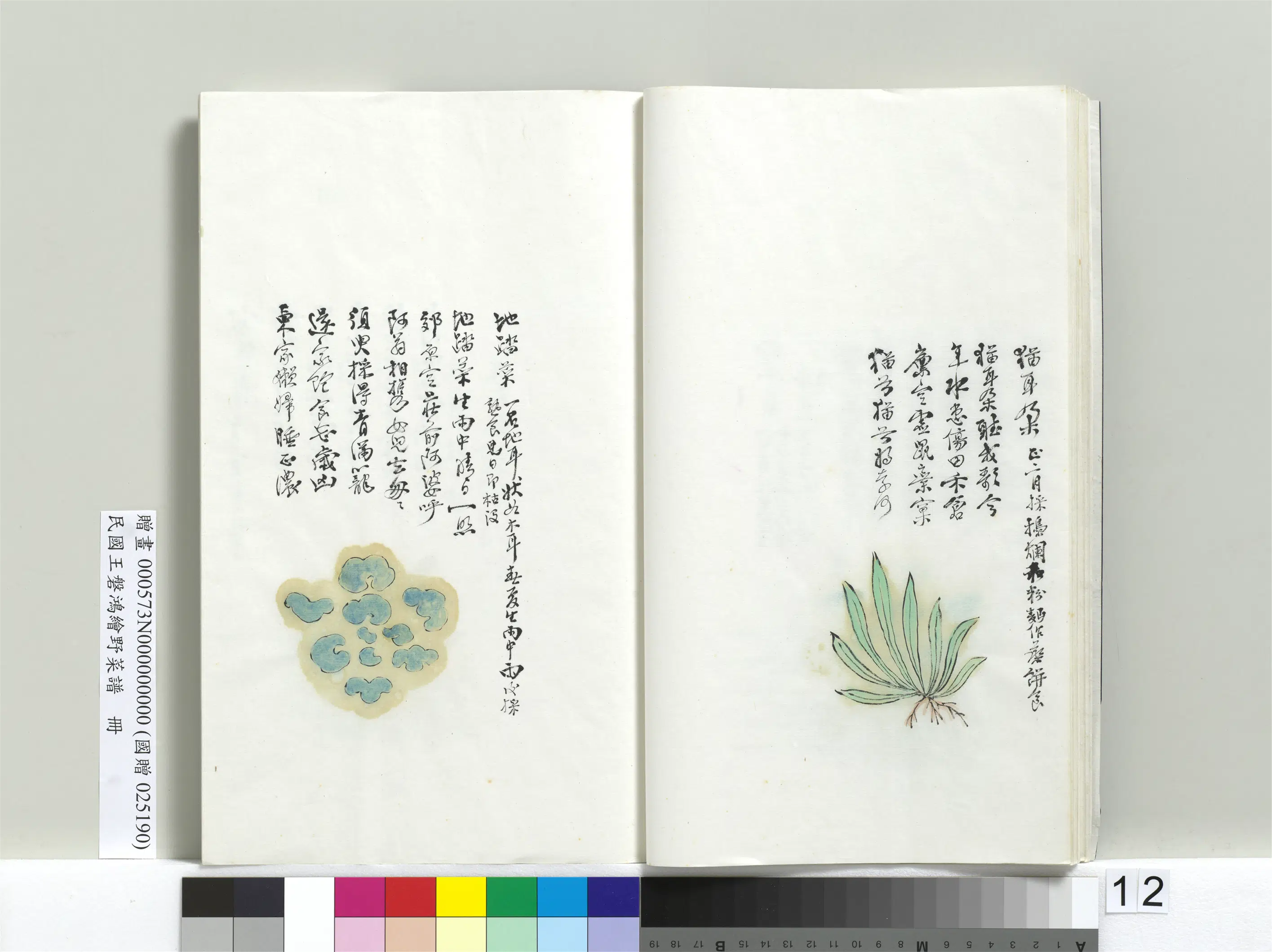 《绘王盘野菜谱册》 第4张 《绘王盘野菜谱册》 第4张