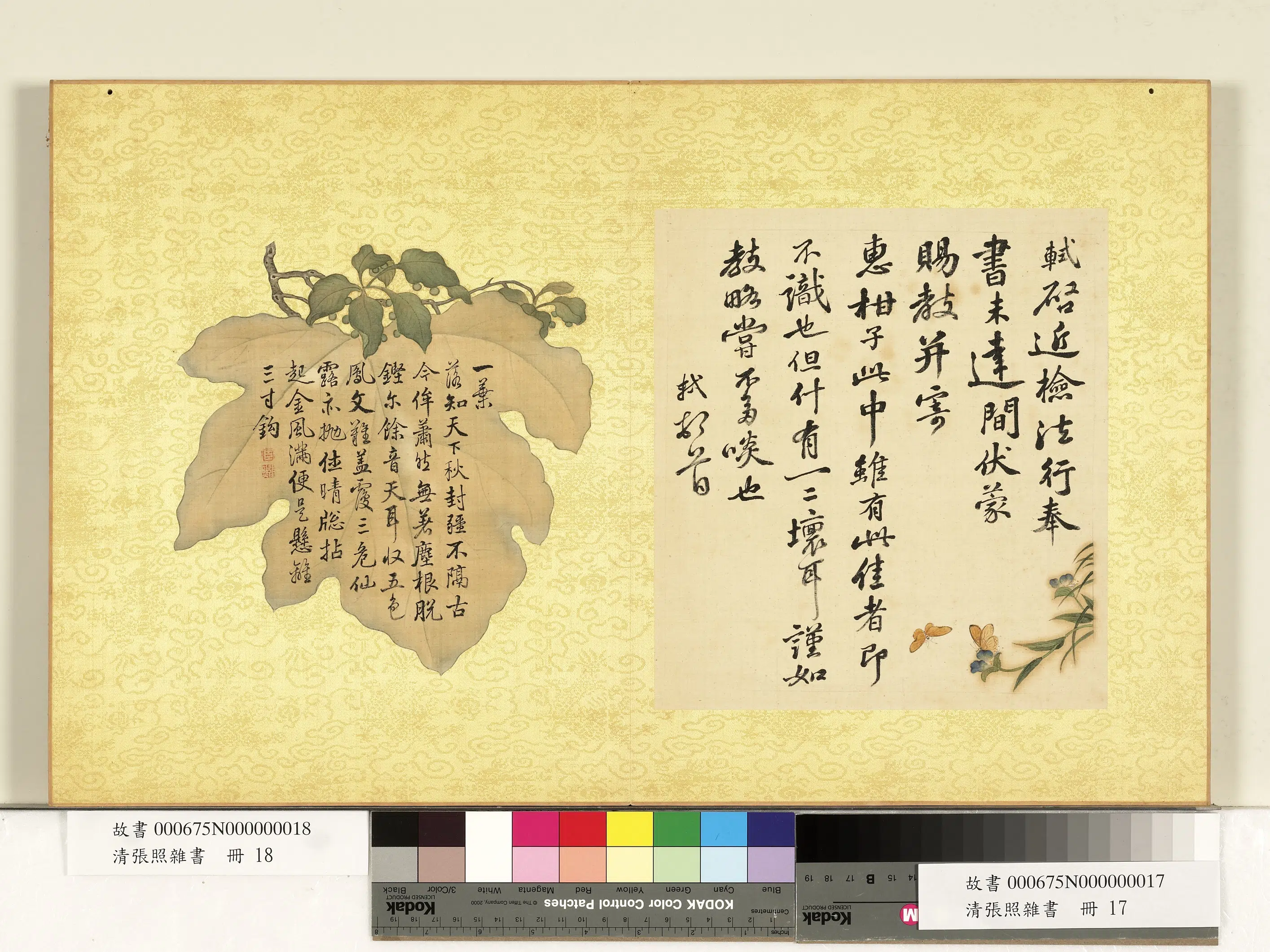 清代【张照】《杂书册-书七言诗-9》