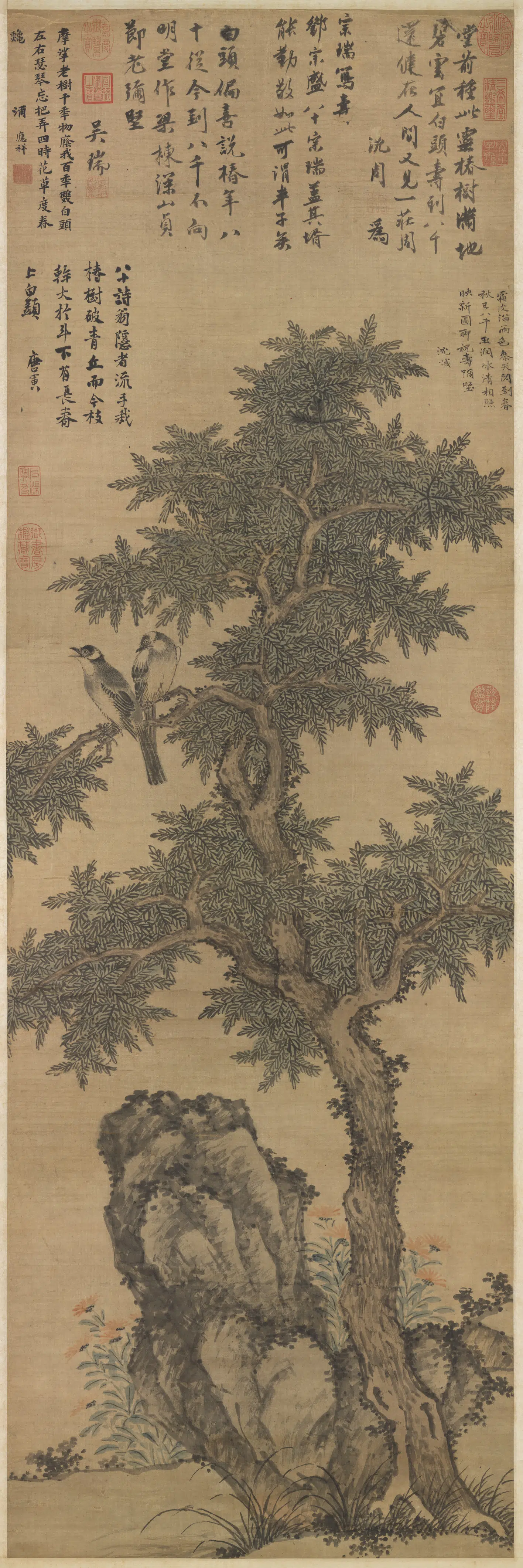 明朝【沈周】《白头长春图轴》